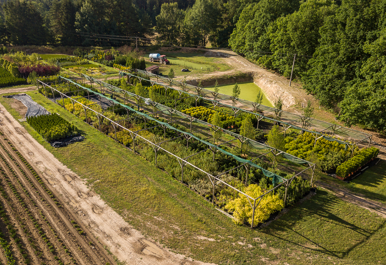 Okrasná školka Chládek foto 4