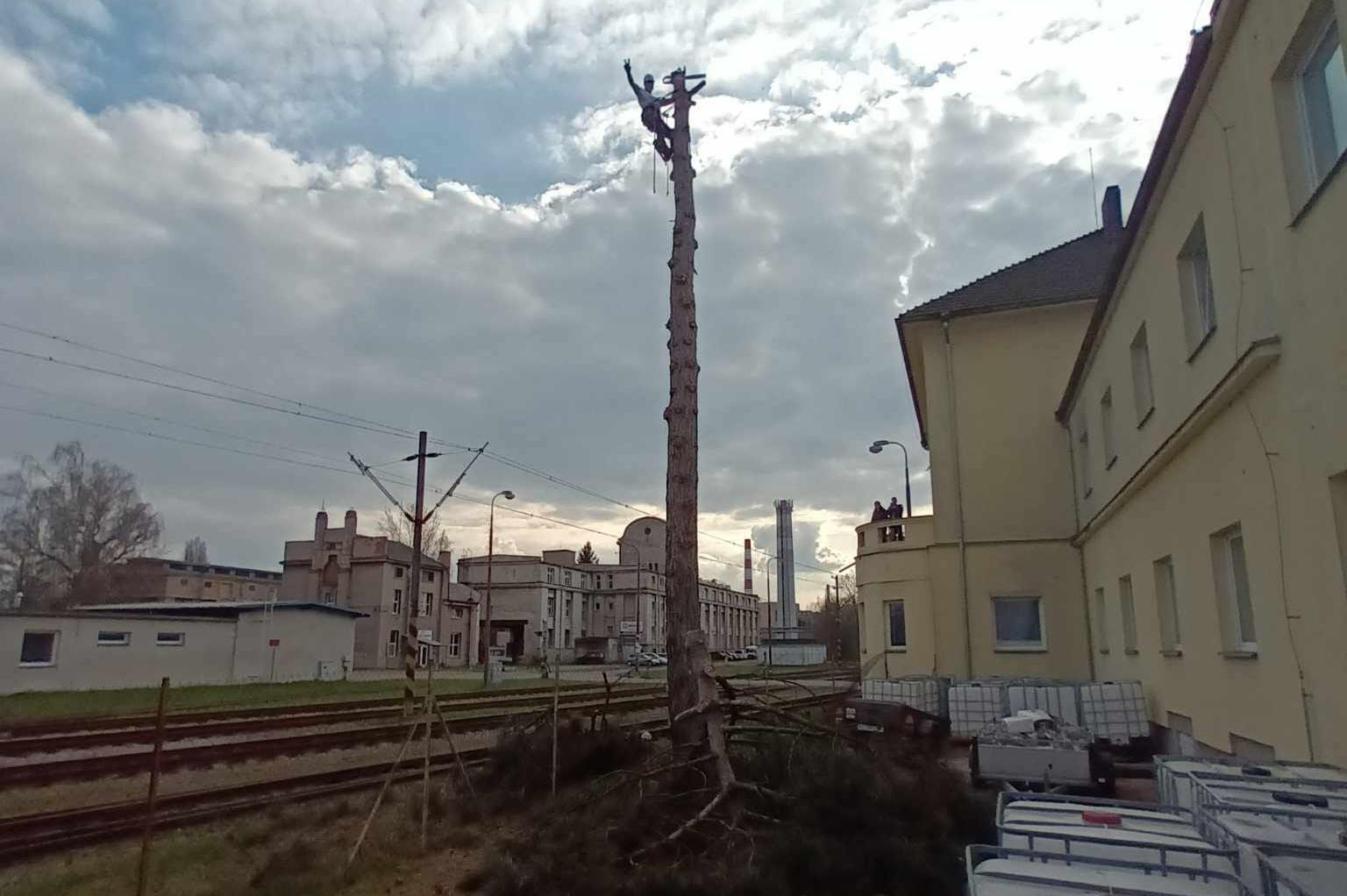Výškové práce, rizikové kácení stromů Jan Zhříval