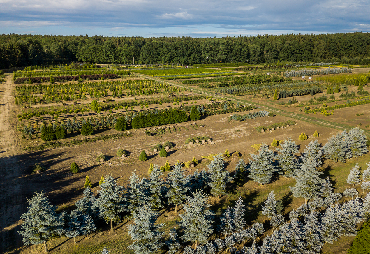 Okrasná školka Chládek foto 2