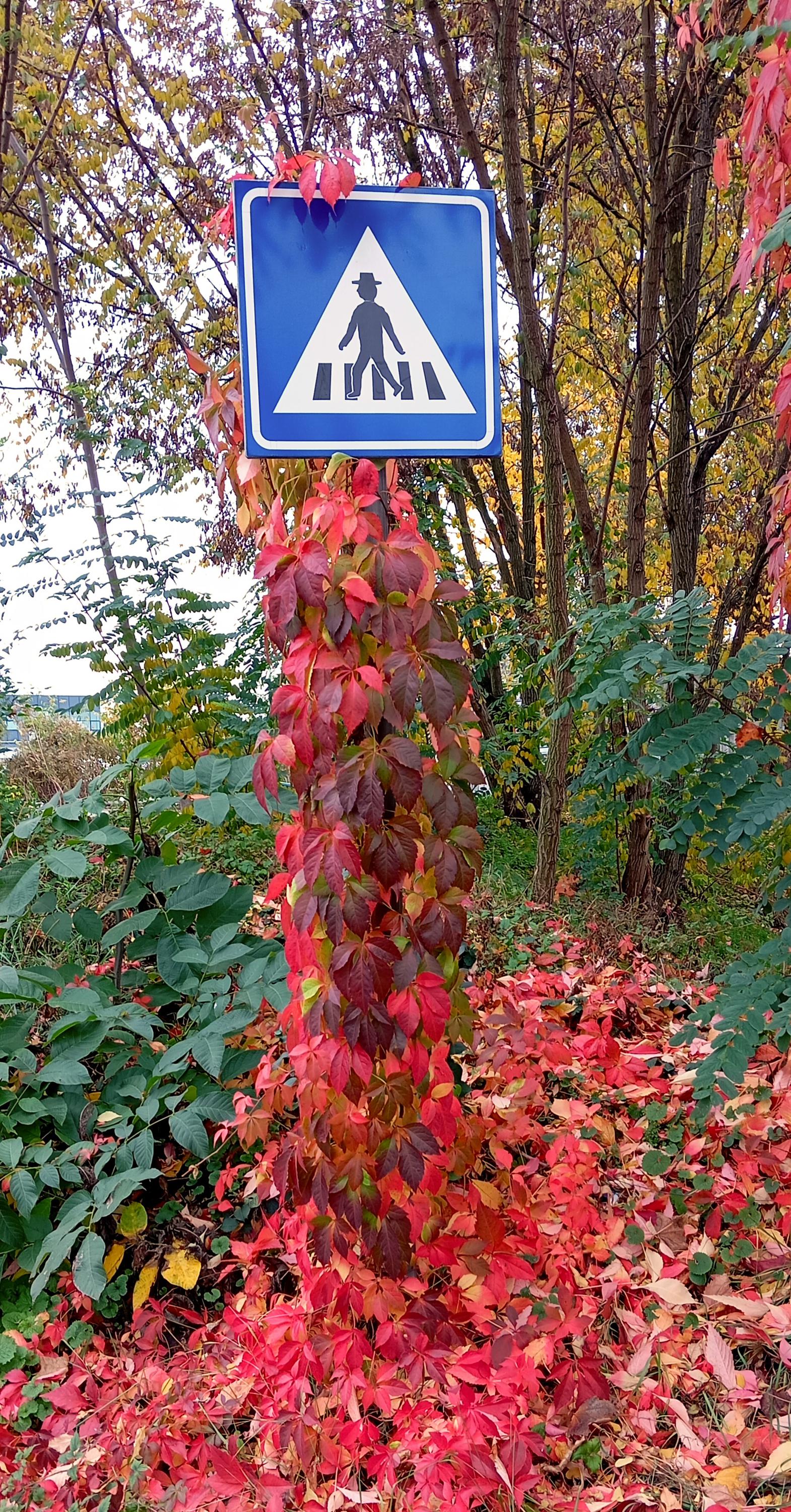 MOL foto 4