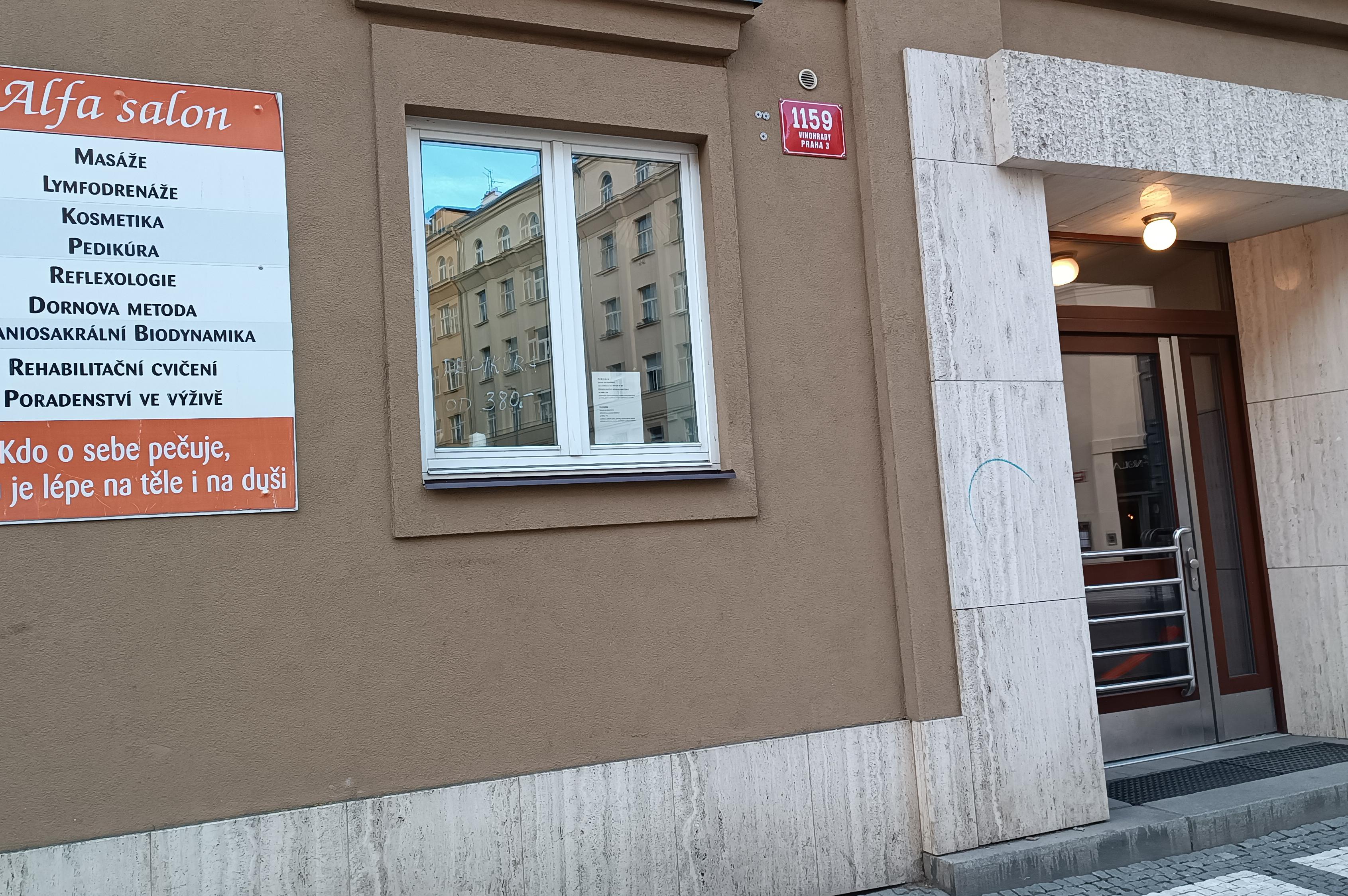 Ing. Olivia Zídková, Alfa salon