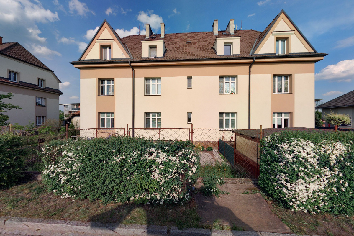 Koučink Alexej Byček