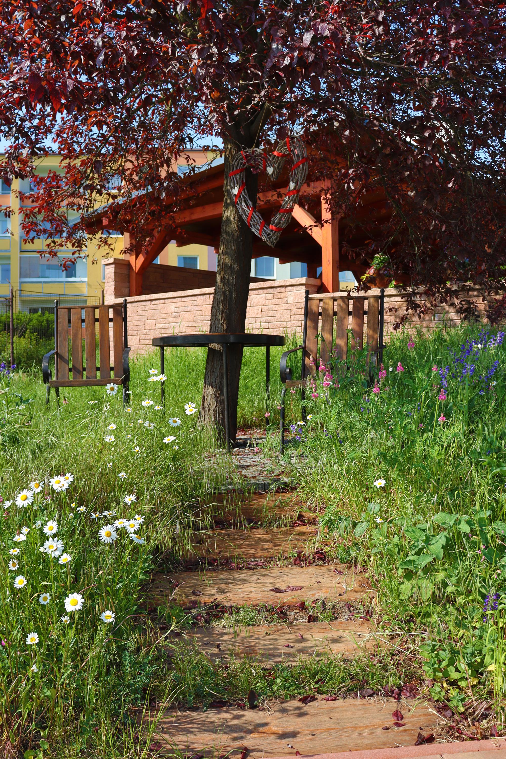 Domov pro seniory Krásné Březno foto 2