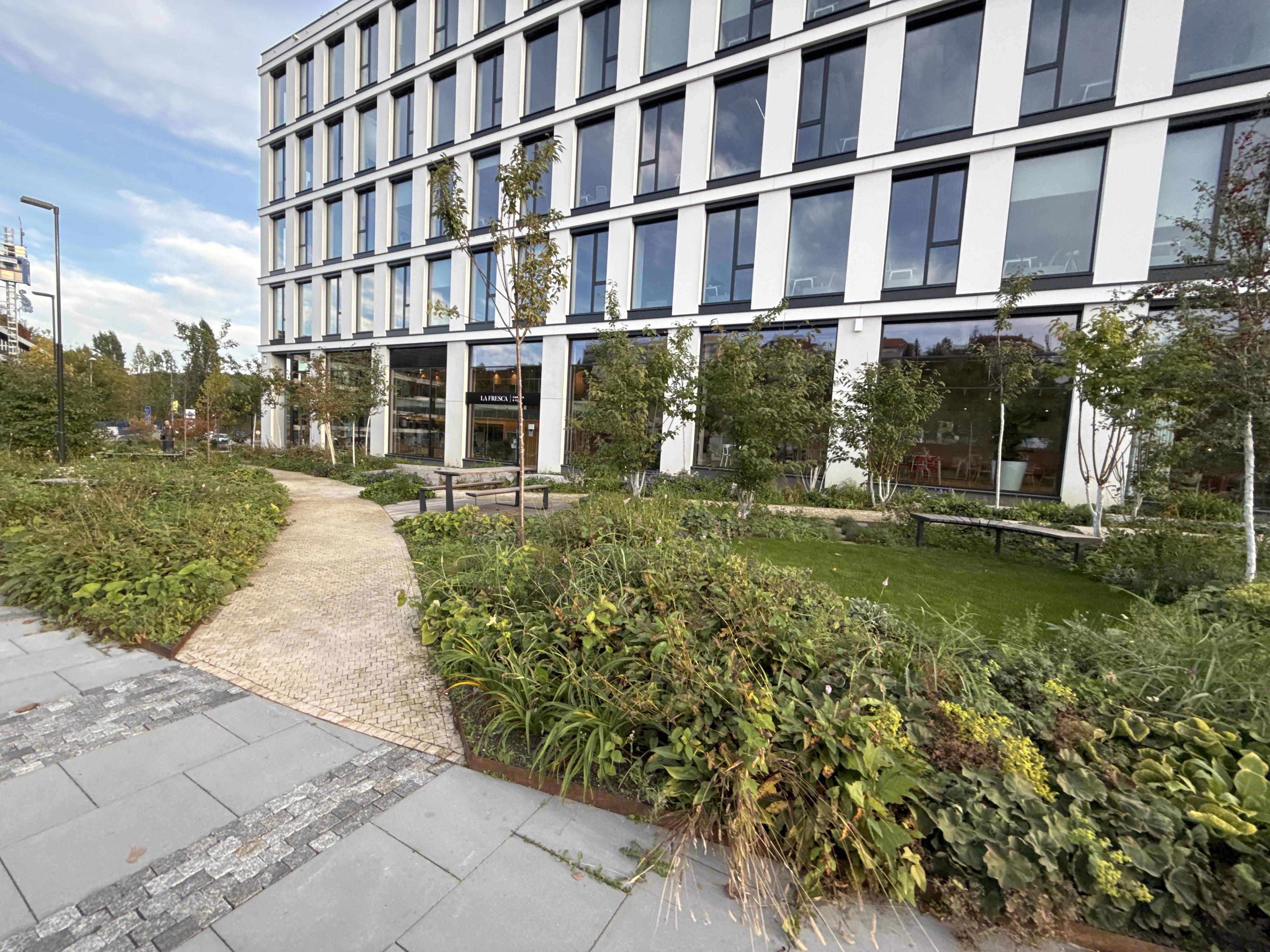 Cantina La Fresca foto 2