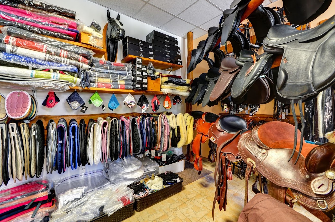 Jezdecké potřeby Pegas foto 6