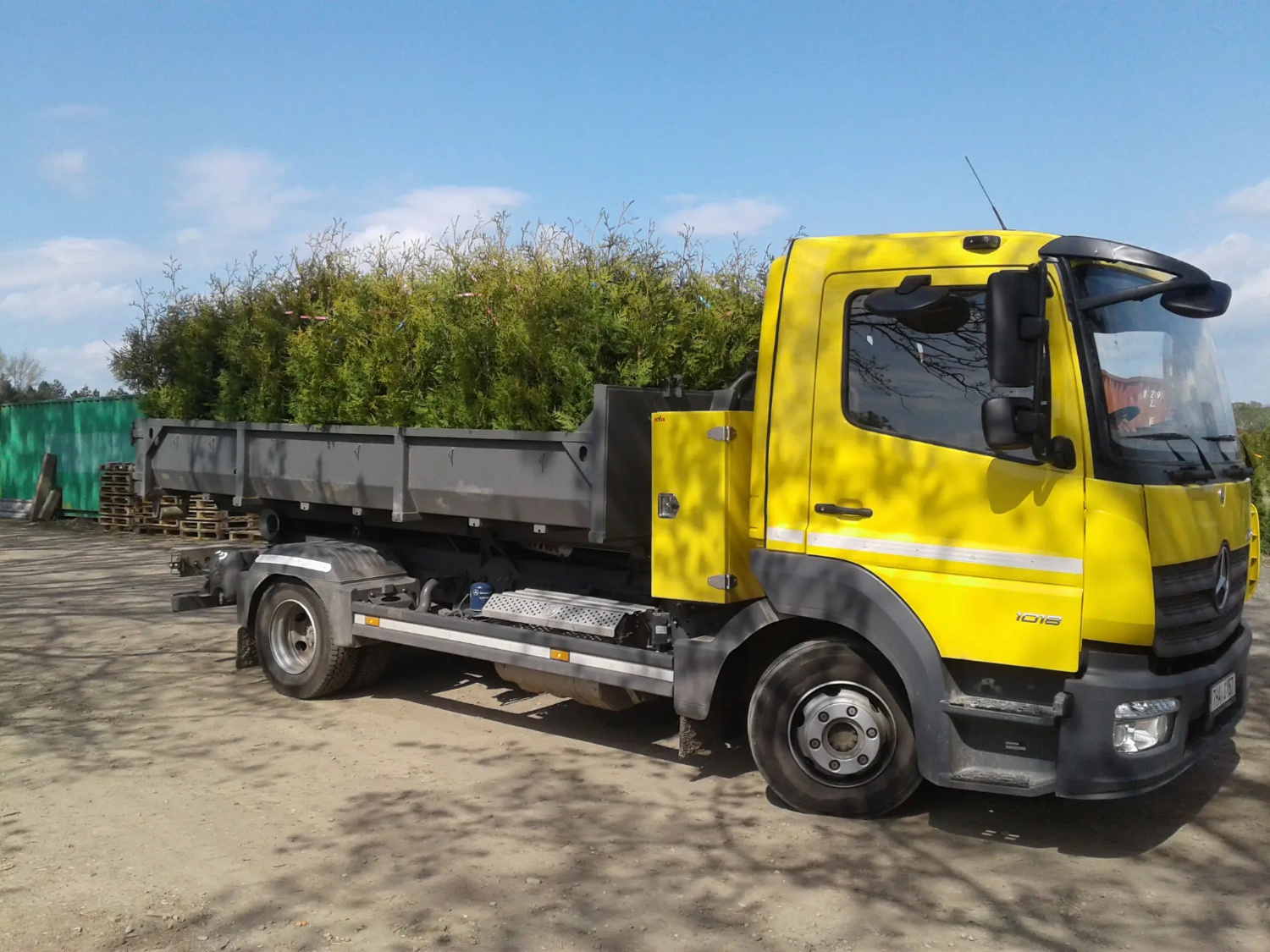 Zahradnictví Munzar s.r.o. foto 2