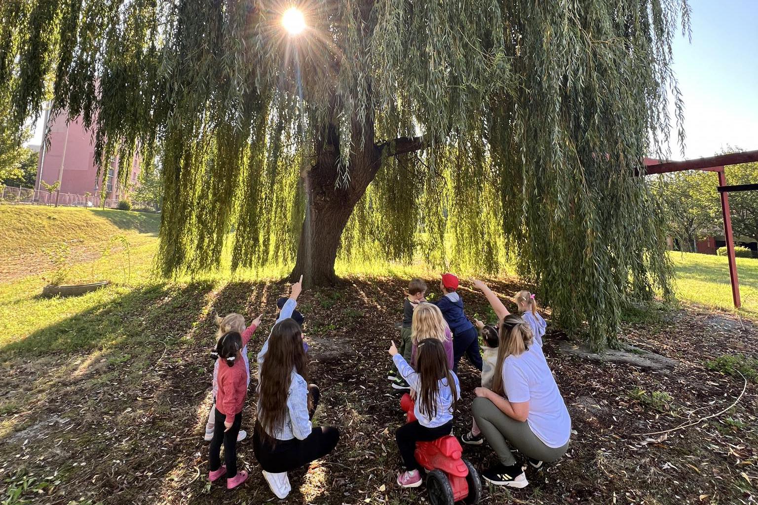 Soukromá mateřská škola MOTÝLEK, v.o.s.