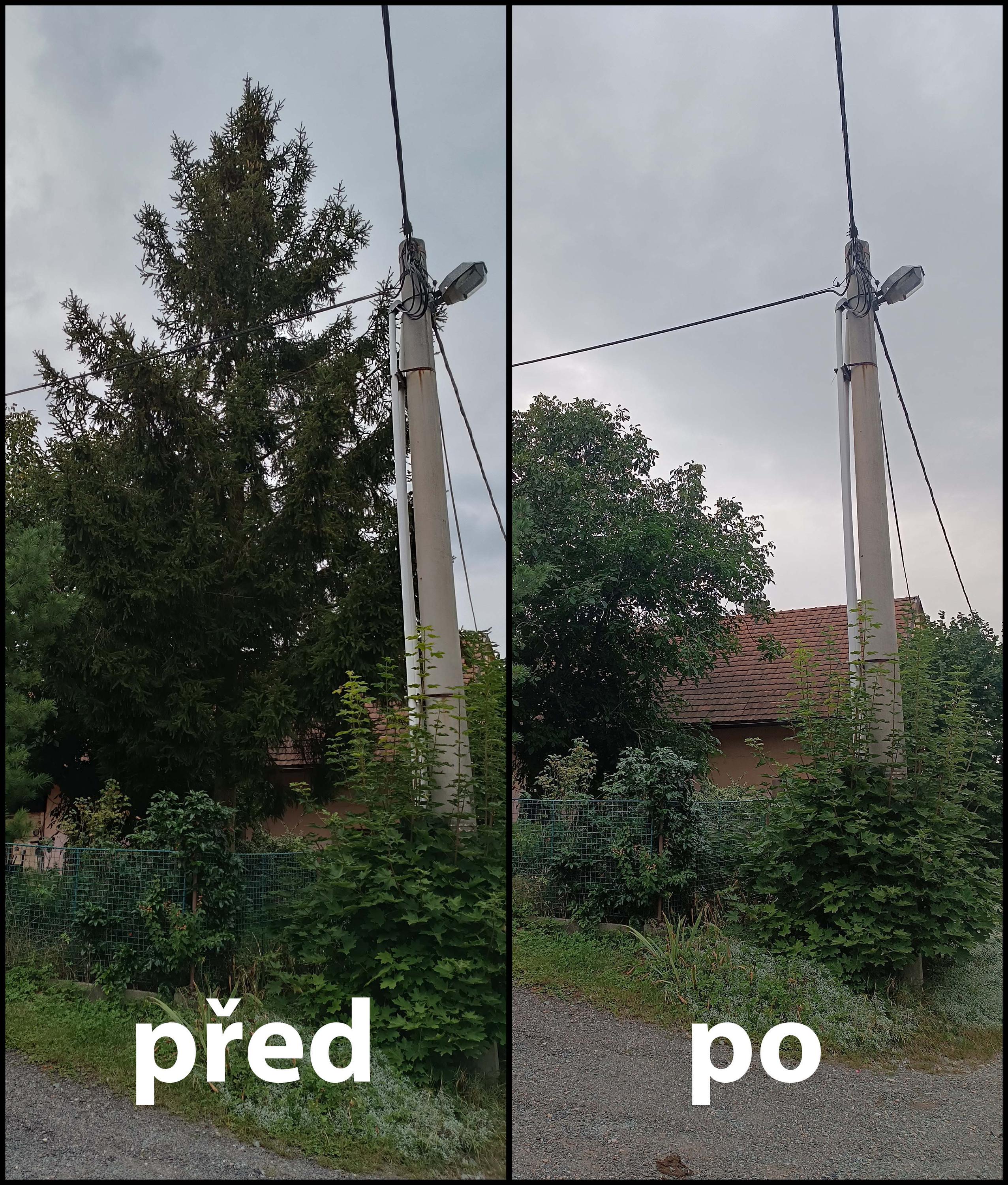 arbo-servis.cz foto 3