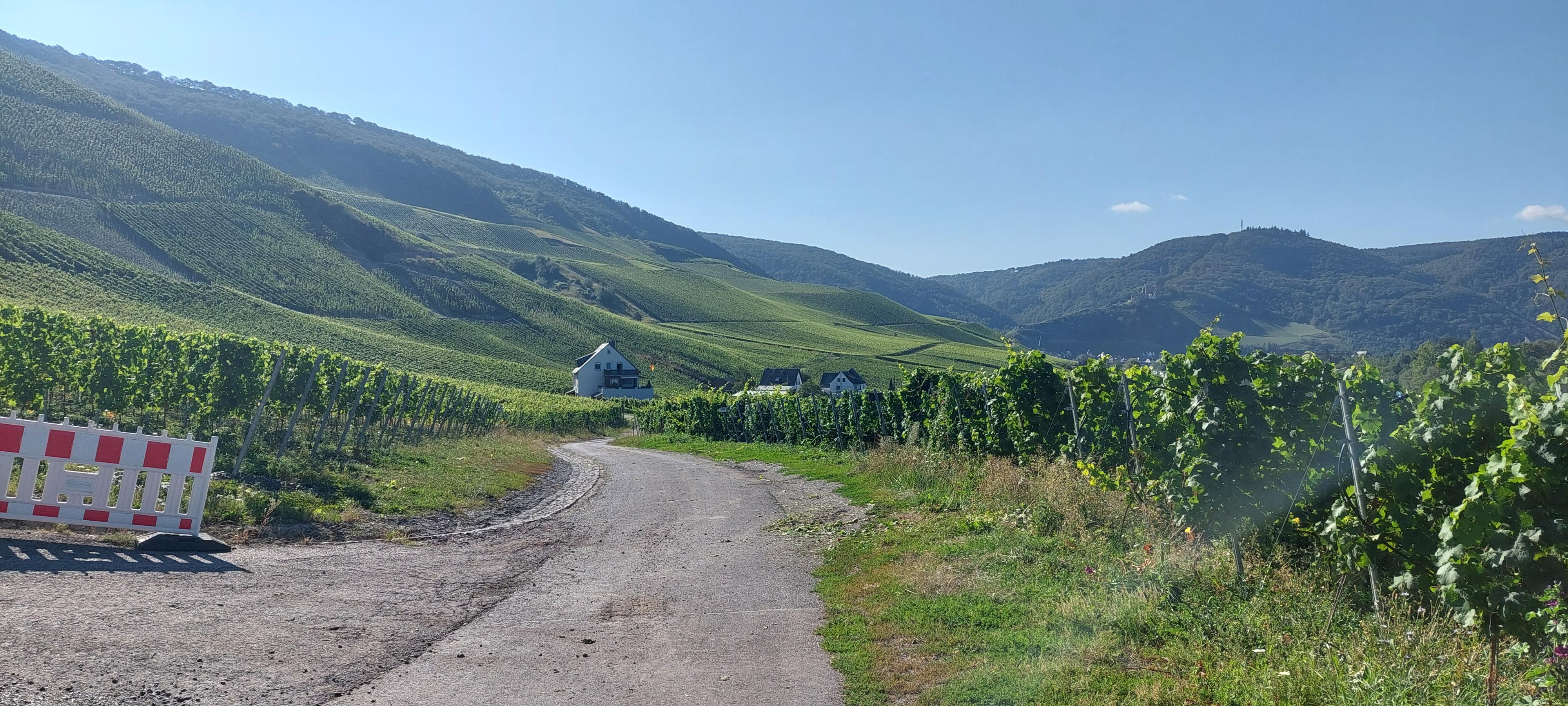 Rostislav Píbr foto 2