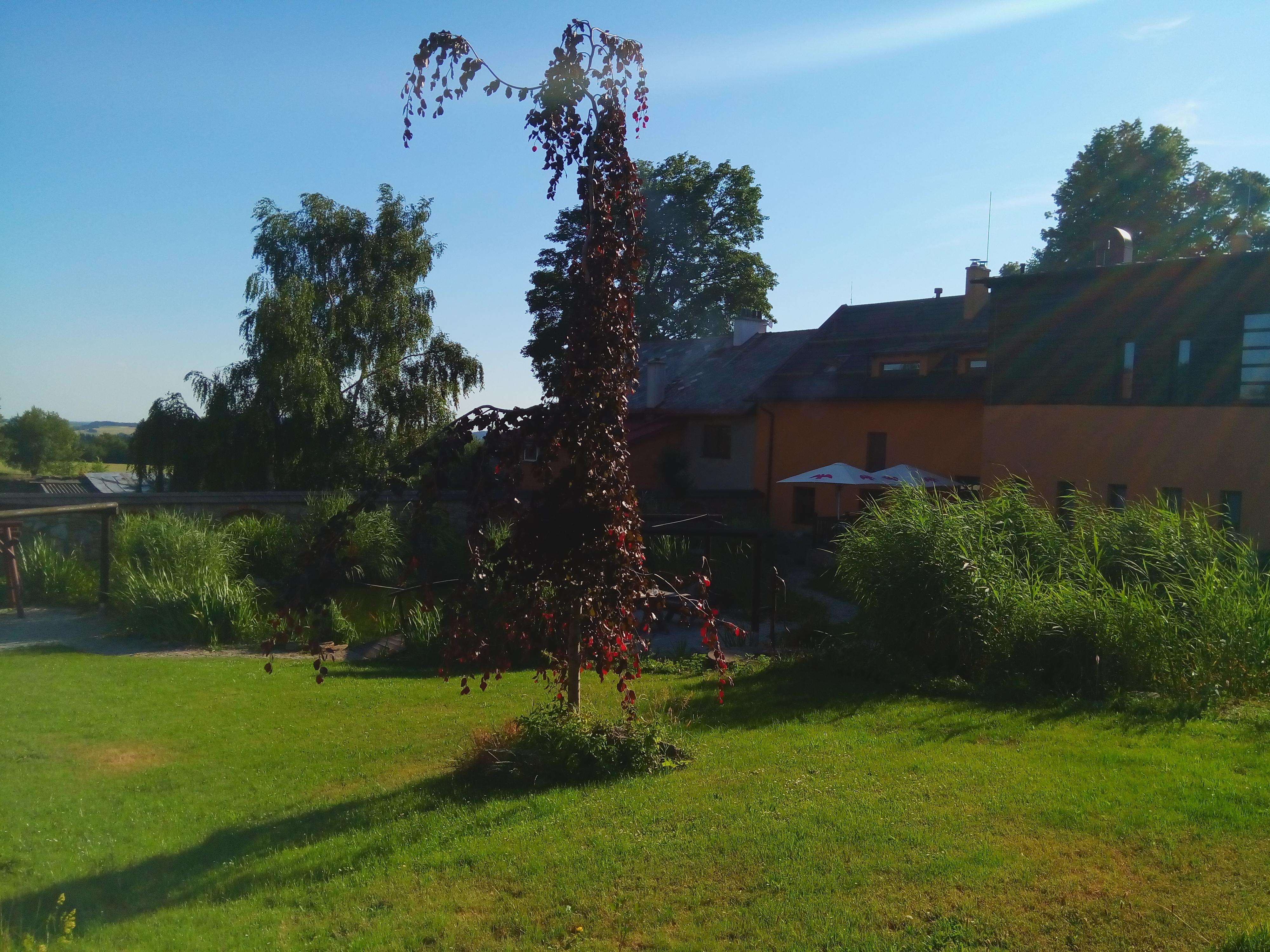 Restaurace Hotel Horní Dvůr foto 5