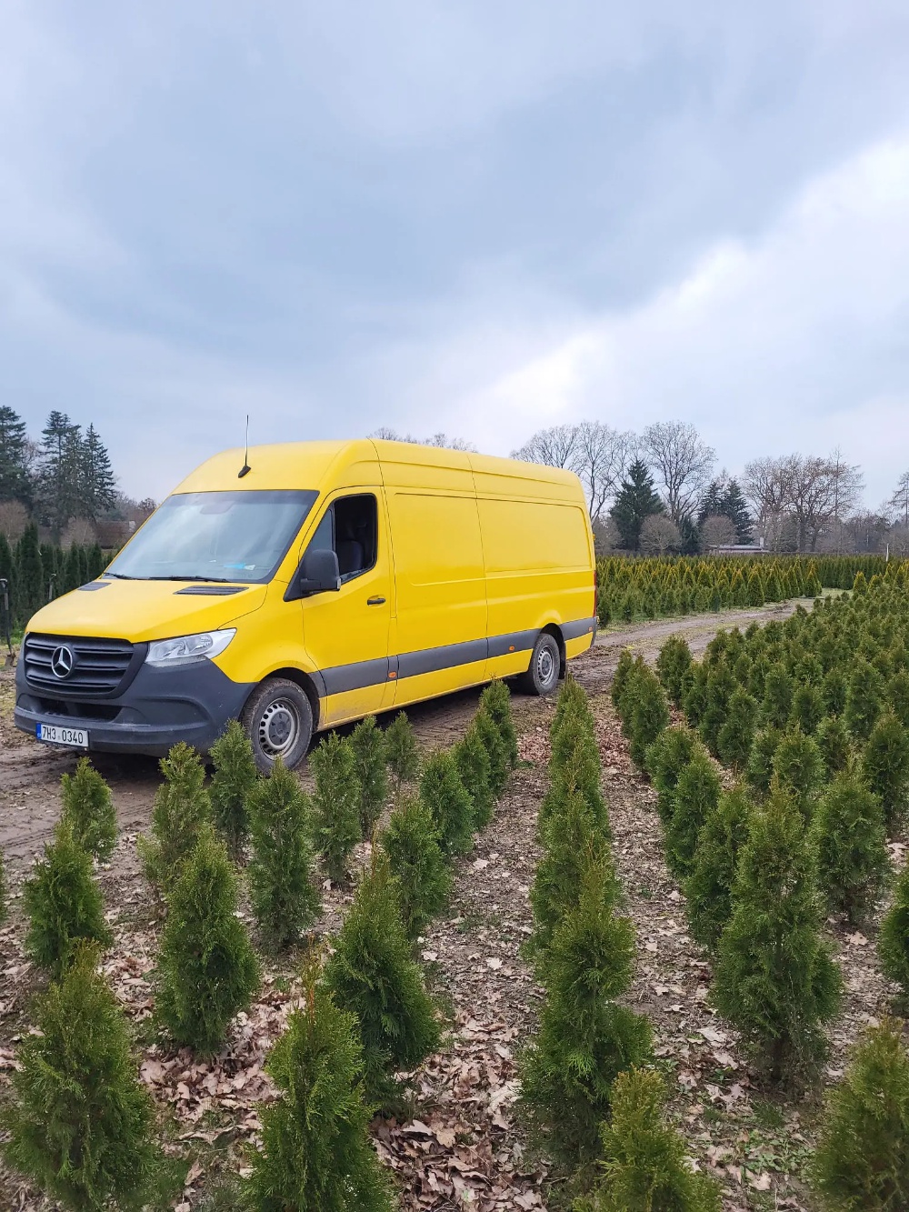 Zahradnictví Munzar s.r.o. foto 3