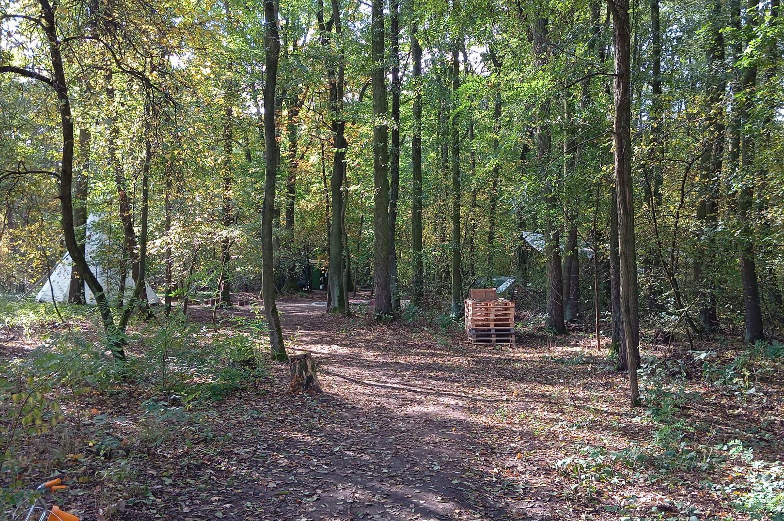 Lesní mateřská škola sv. Františka