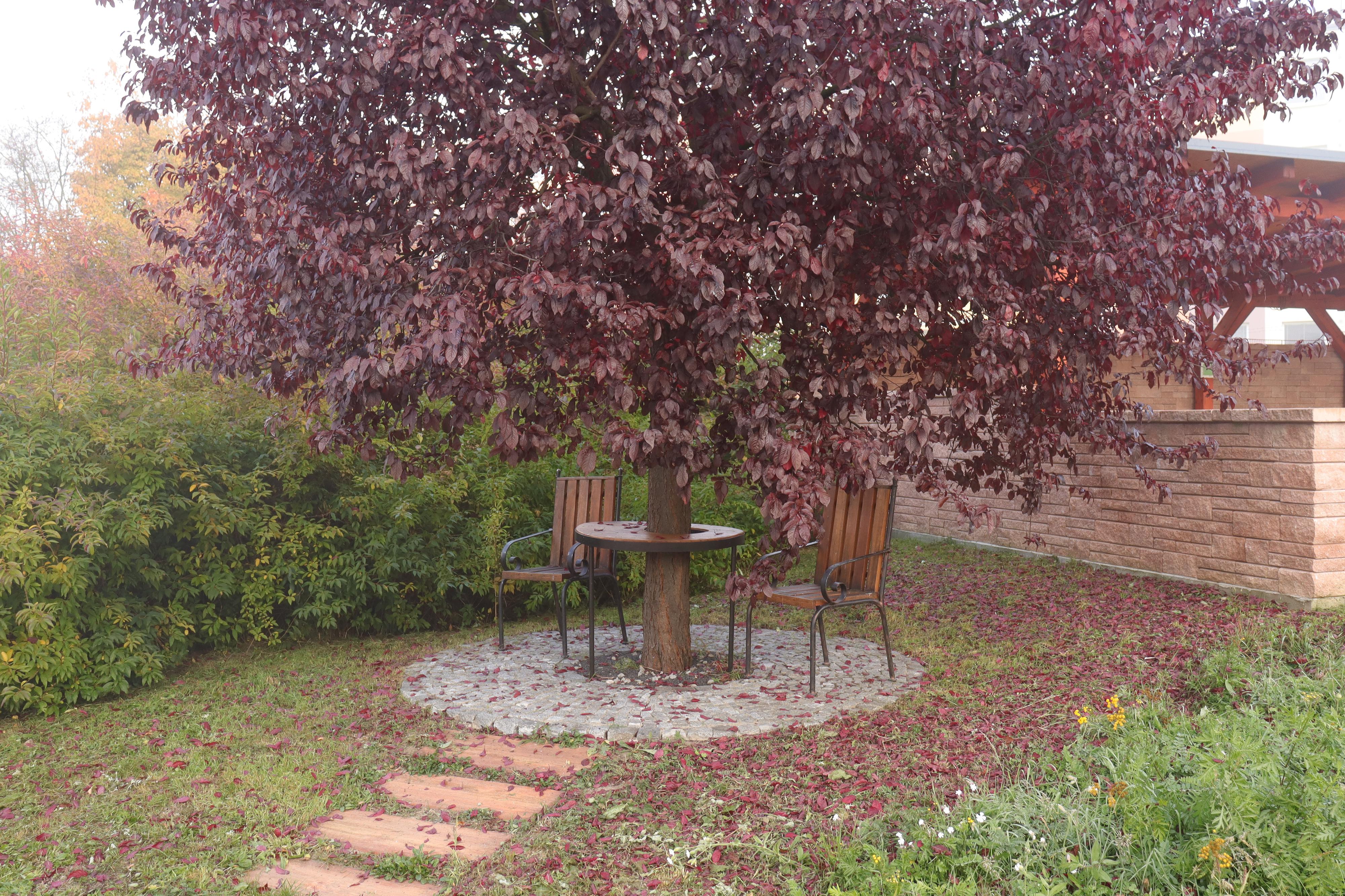 Domov pro seniory Krásné Březno foto 5