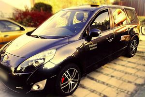 Firemní grafika Taxi Napoleon