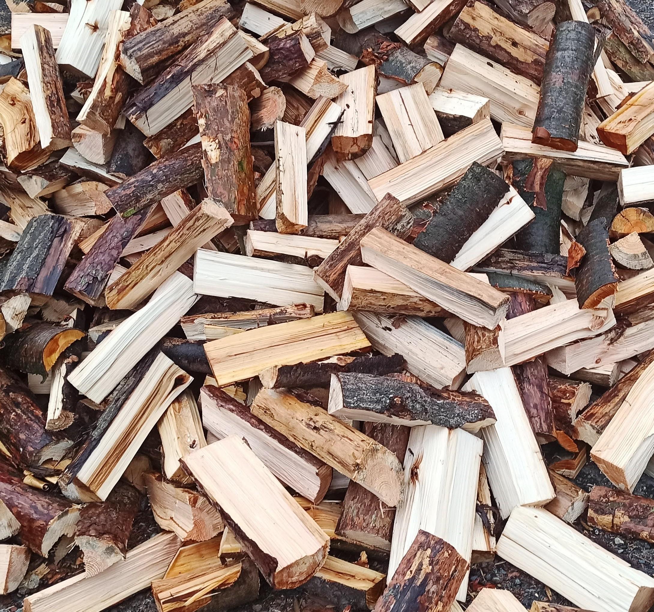 Správa lesů města Soběslavi, s.r.o. foto 2