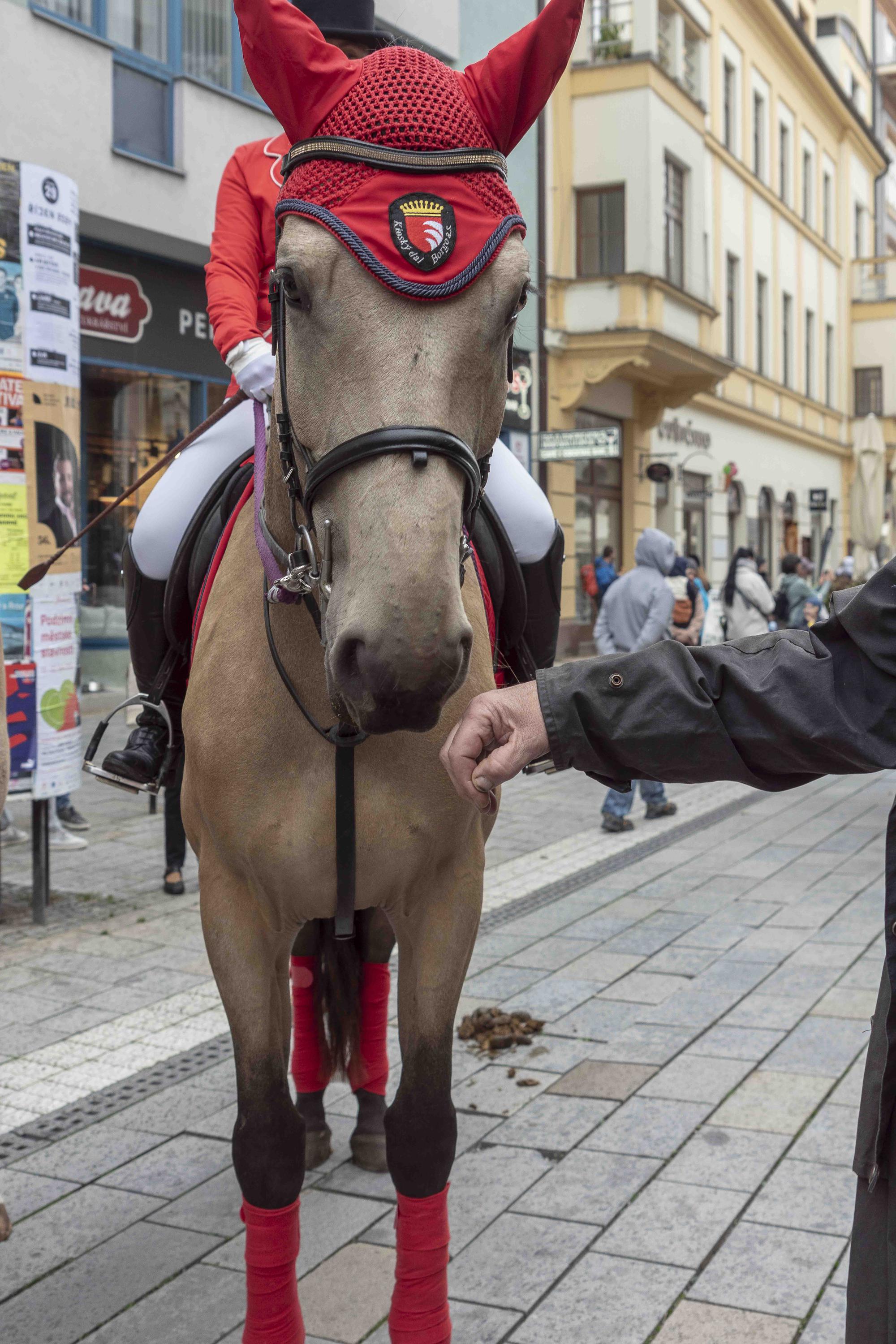 Kinský dal Borgo foto 2