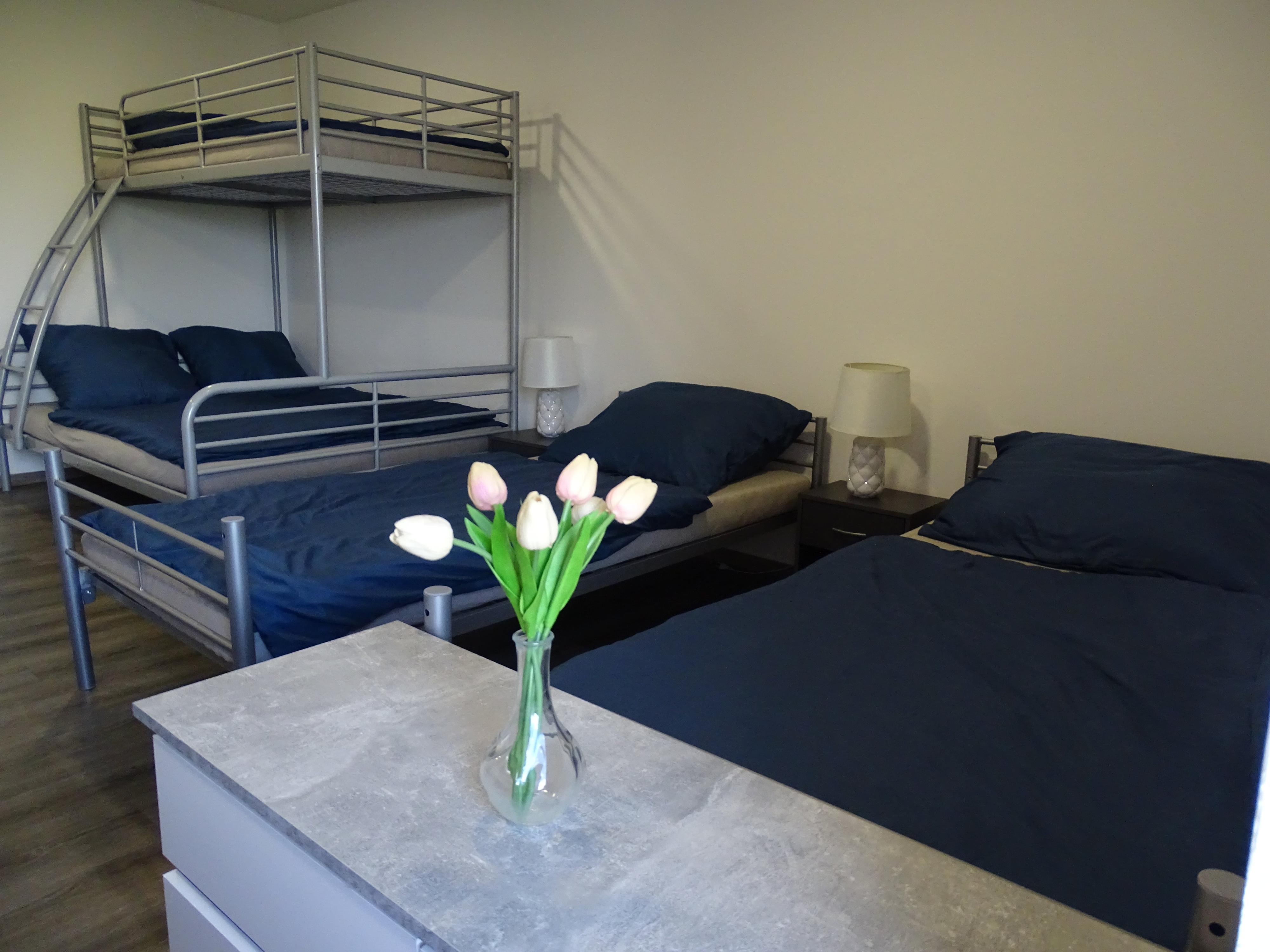 Apartmán Oldřich Veselý foto 2