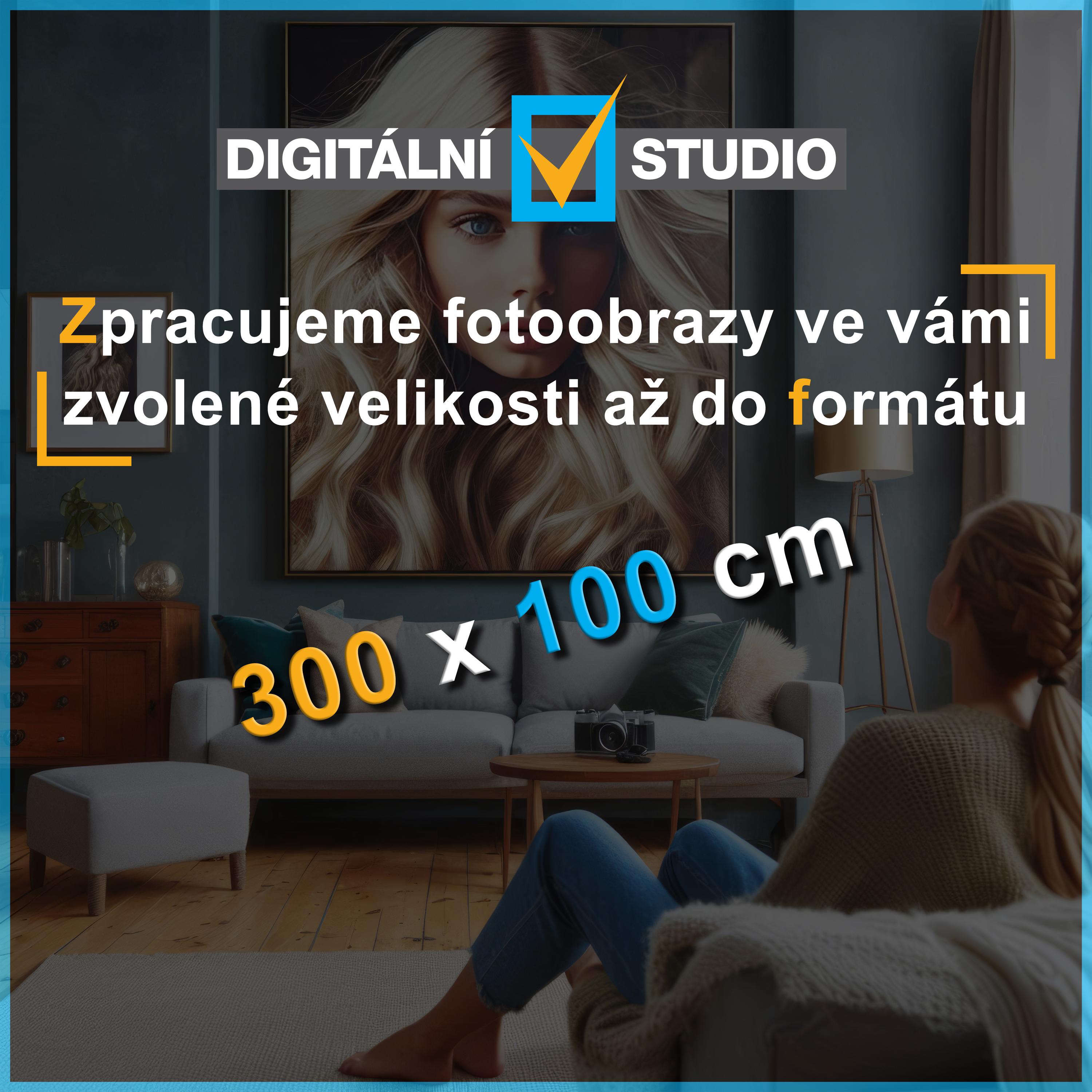 Digitální studio