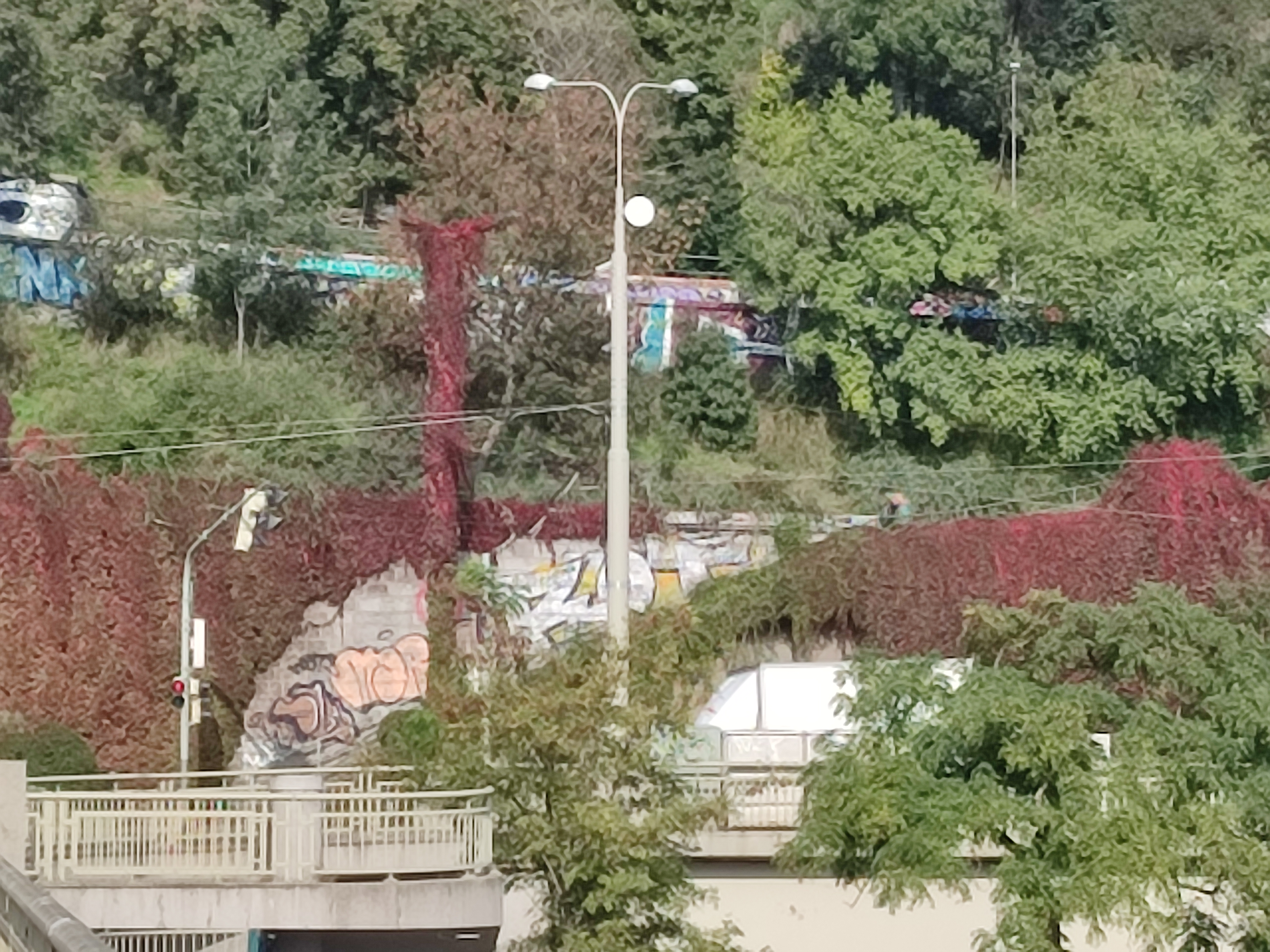 Artwall Gallery foto 2