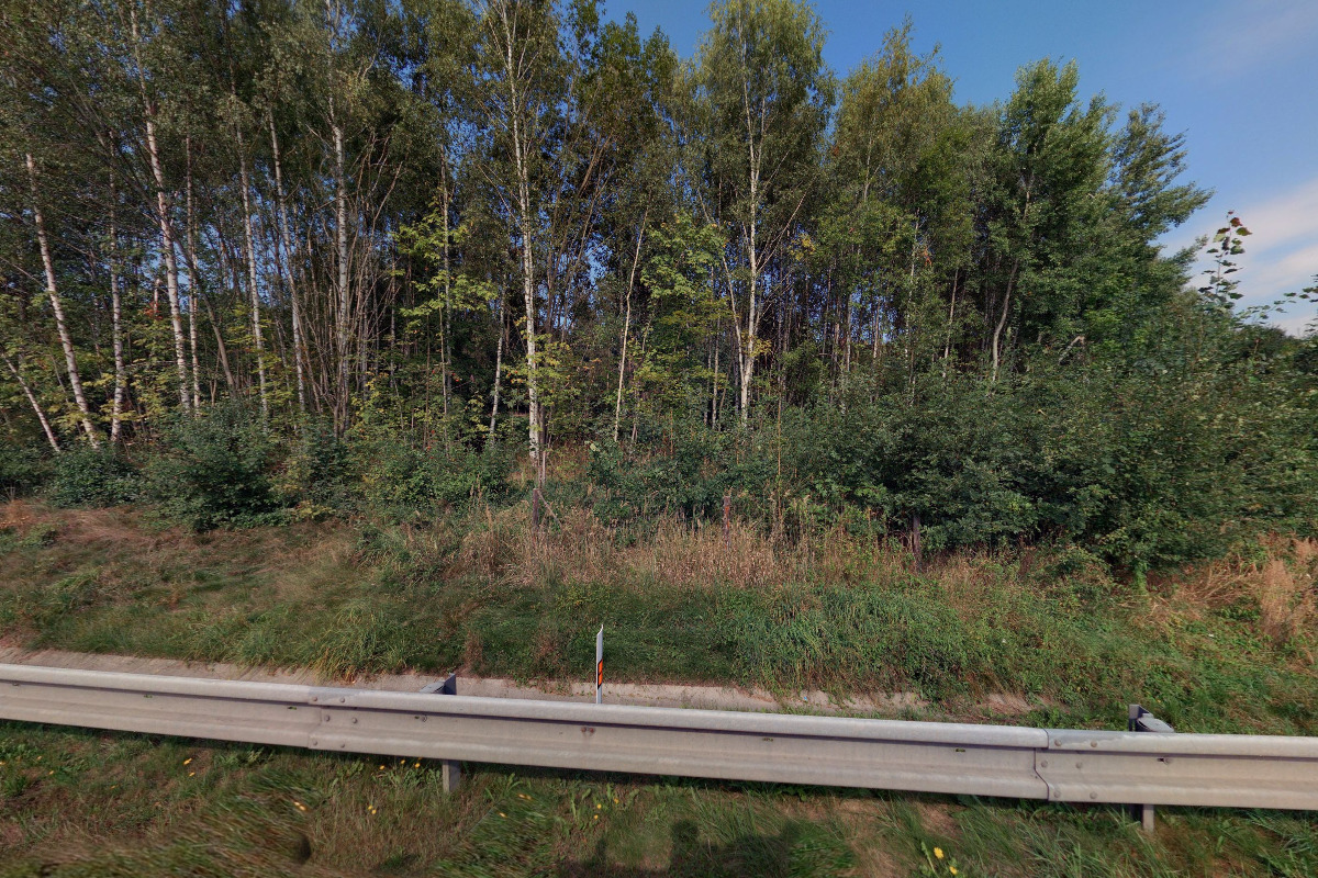 Kynologické cvičiště Daliměřice foto 3