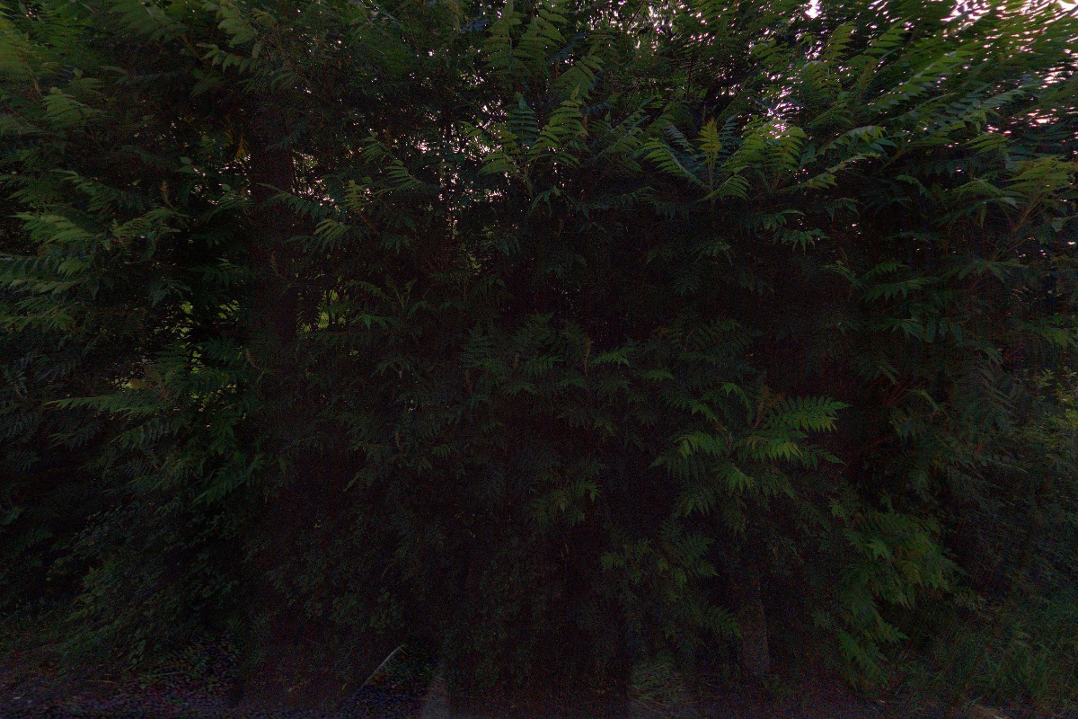 Stanislav Šlambor - Hodinářství foto 5