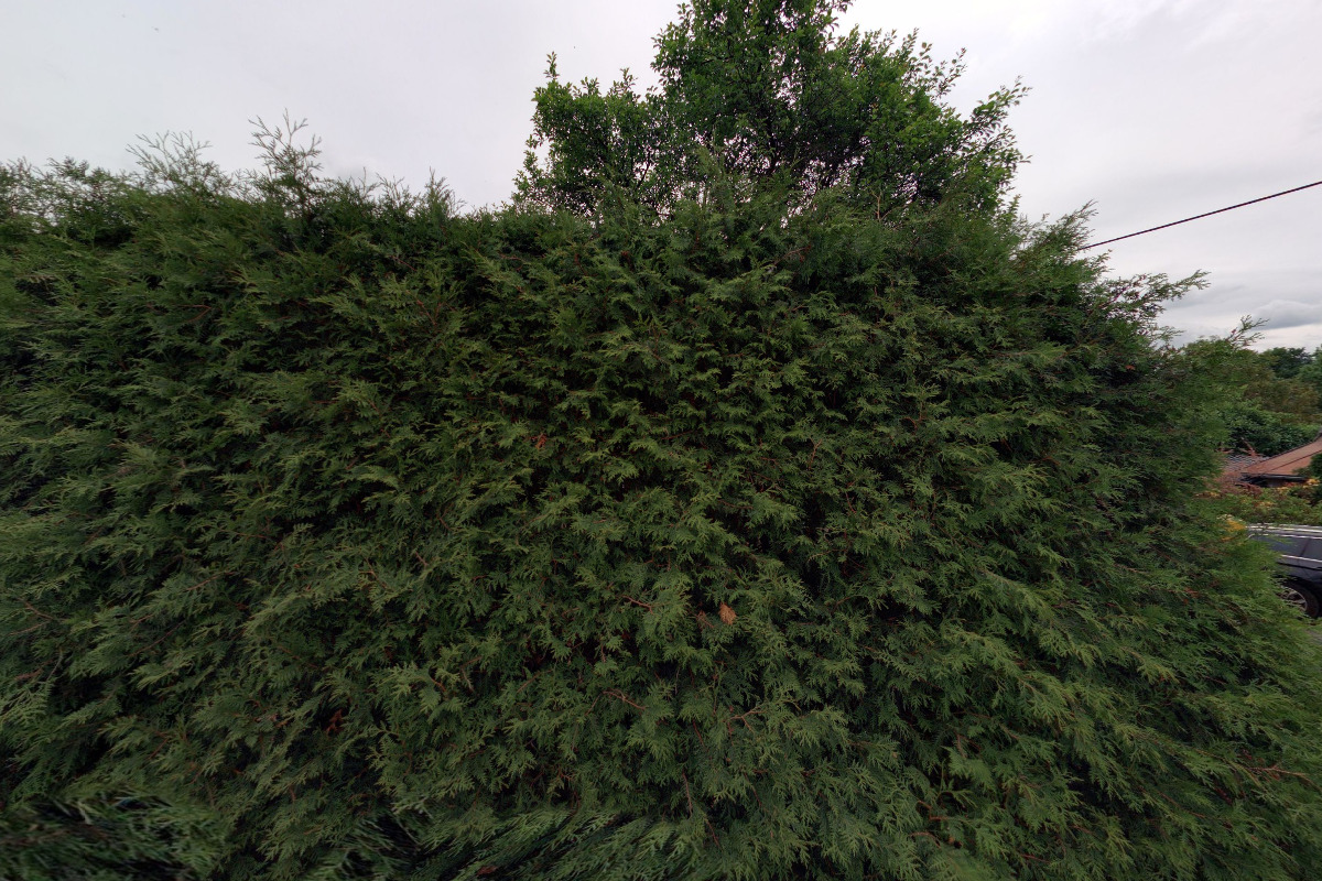 Ing. Danuše Plandorová