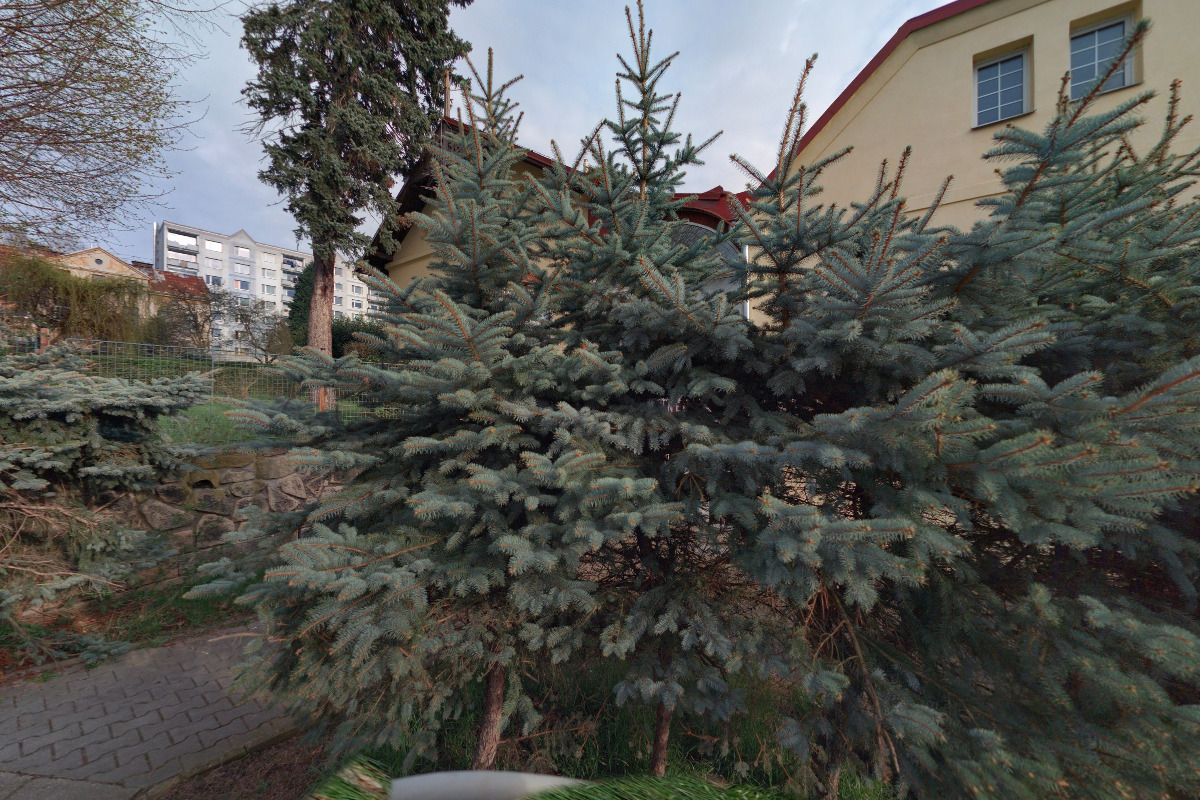 TJ Kajak Děčín foto 3