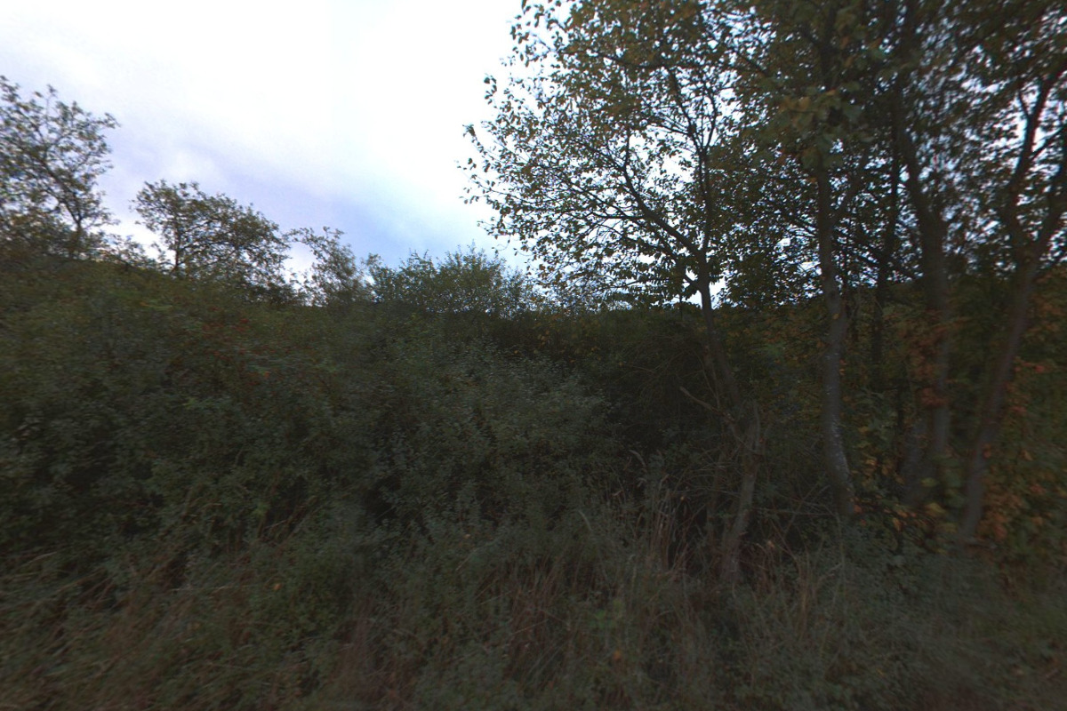 Lesní škola Skulina