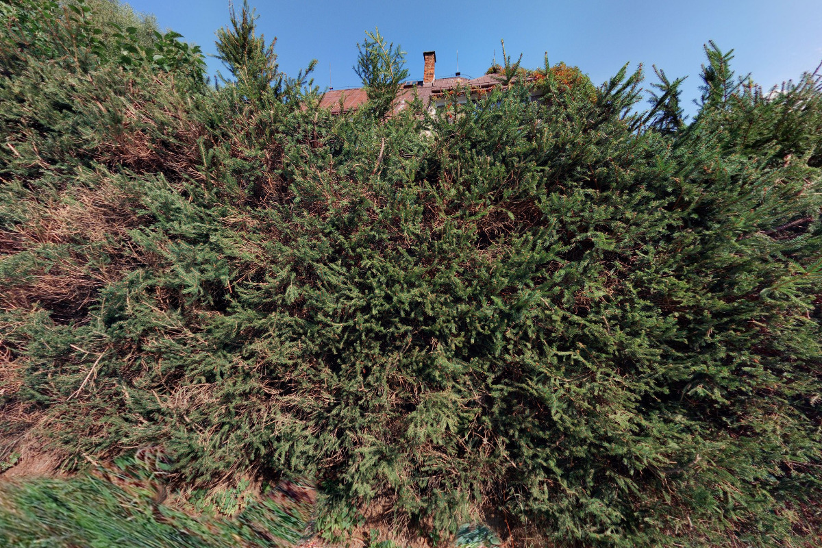 Martin Reček-Piana & mechaniky foto 2