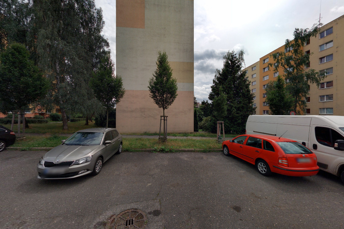 Czech Women with Wings