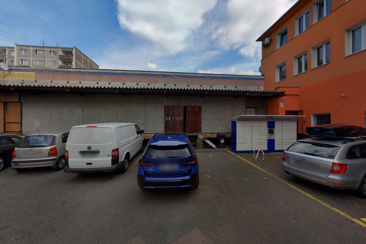 Psí Salón - Stay Pawsitive