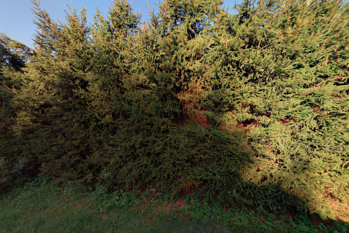 Čalounictví BEHA foto 6