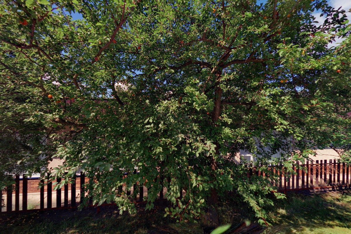 LICOMA, s.r.o. foto 2