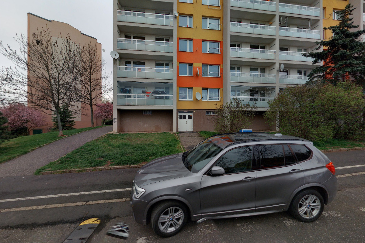 Ing. Ludmila Dušková