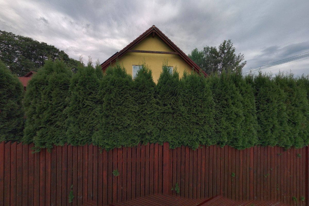 Dřevovýroba Truprt foto 2