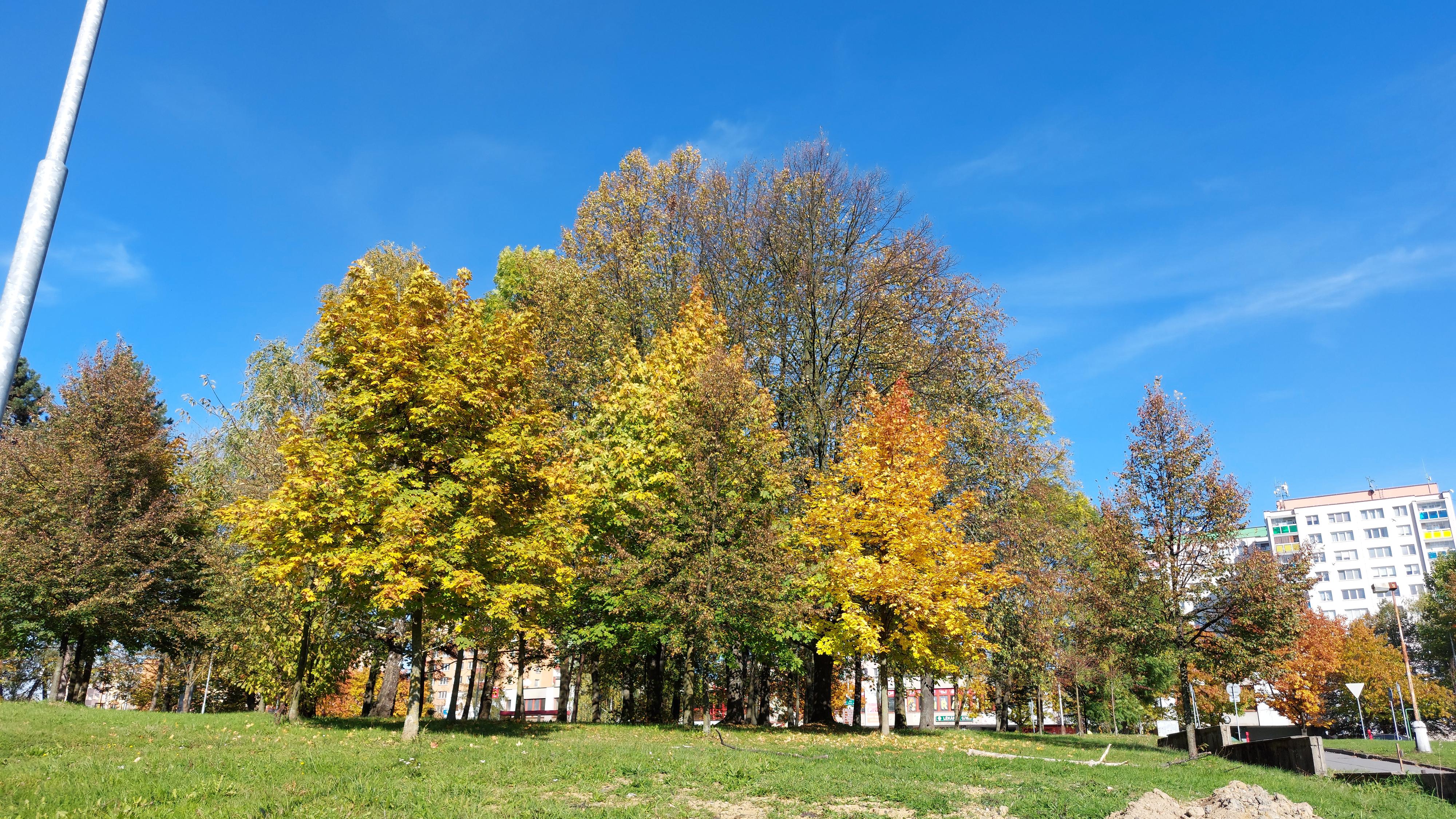 Bankomat České spořitelny foto 3