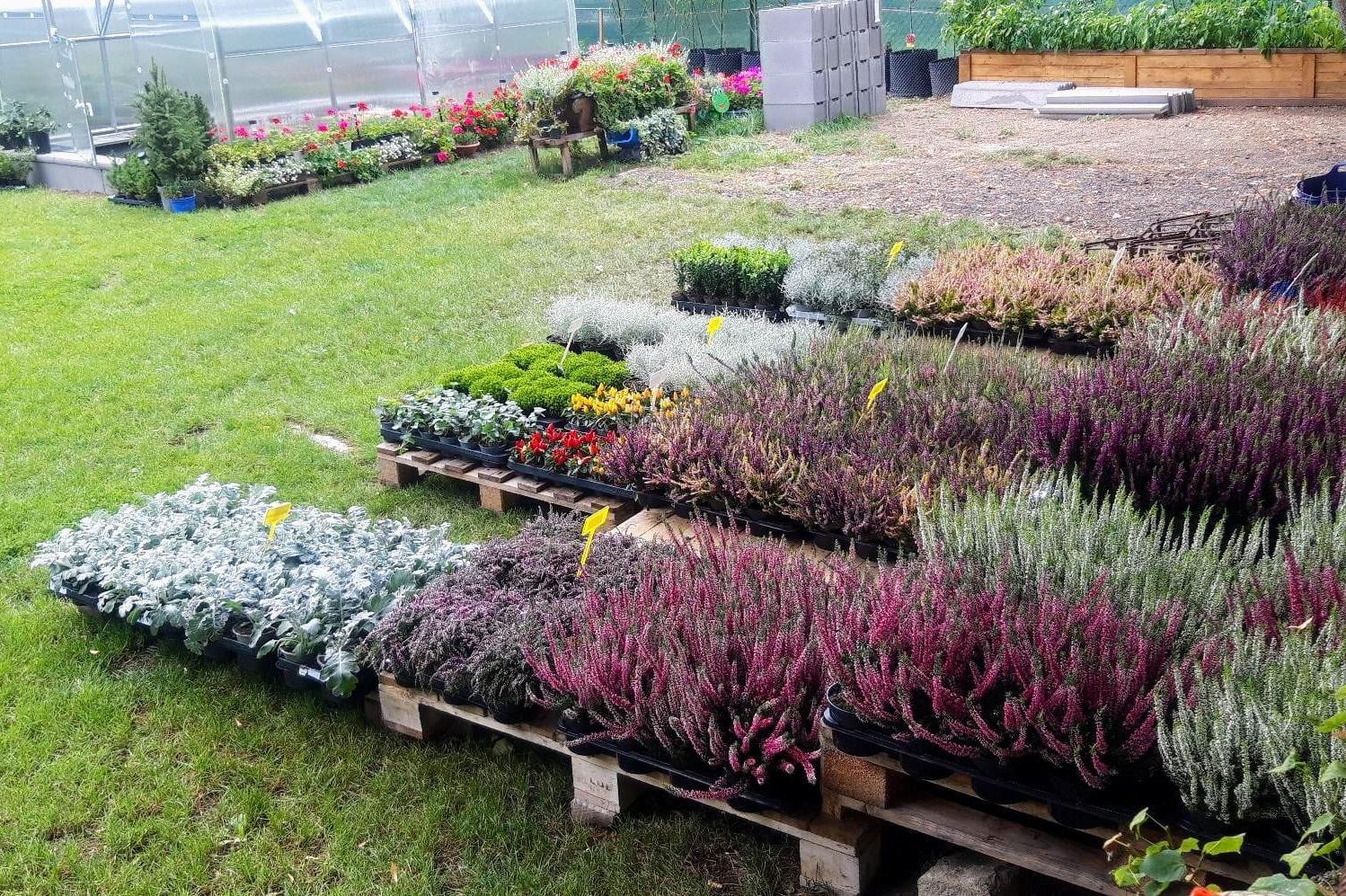 Zahradnictví Barnabáš