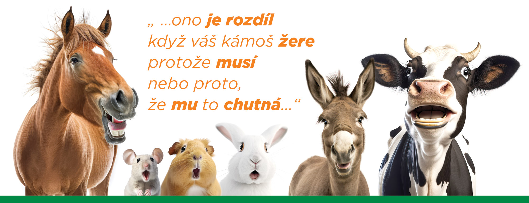ČESKÉ SENO, s.r.o. foto 1