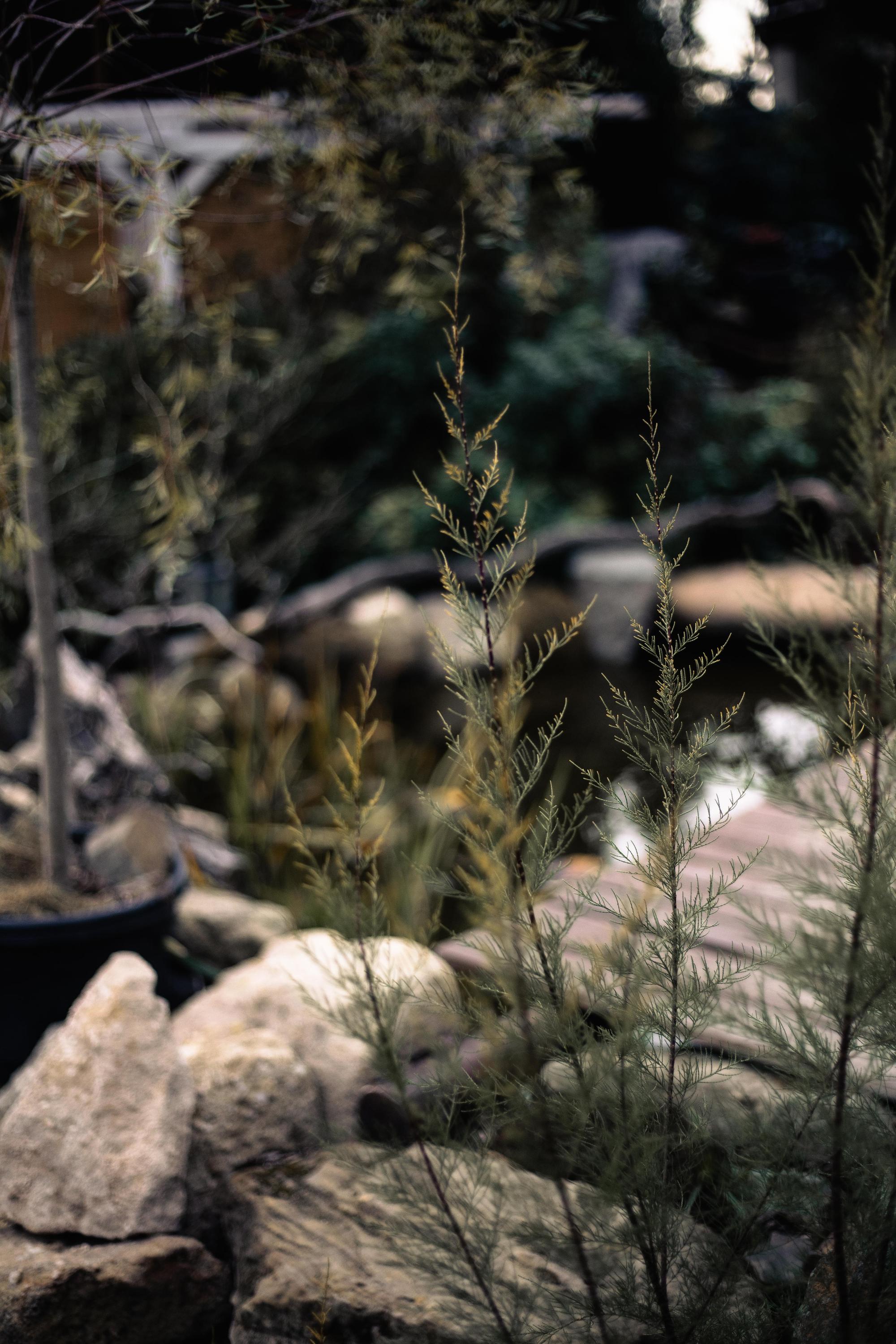 Údržba zahrad Jakub Jacko foto 3