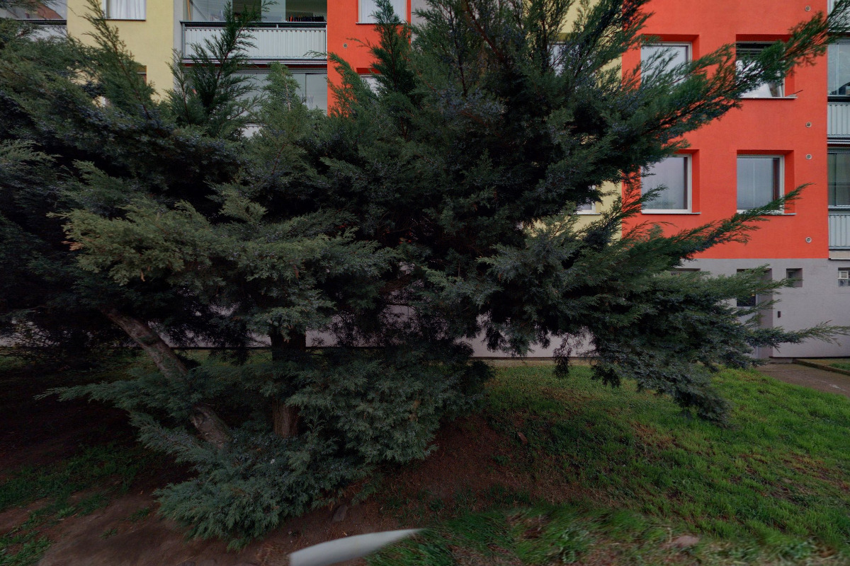 Jiří Novák - SERVIS VZV foto 2