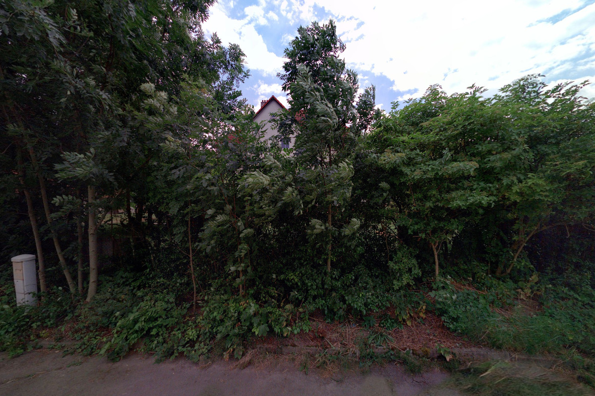 PhDr. Hana Manďáková