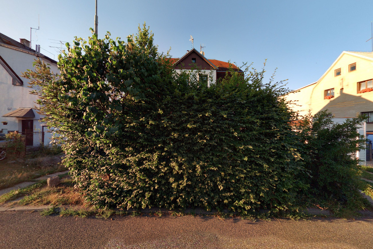 Daňový poradce ev. č. 0940 Ing. Renata Janečková foto 2