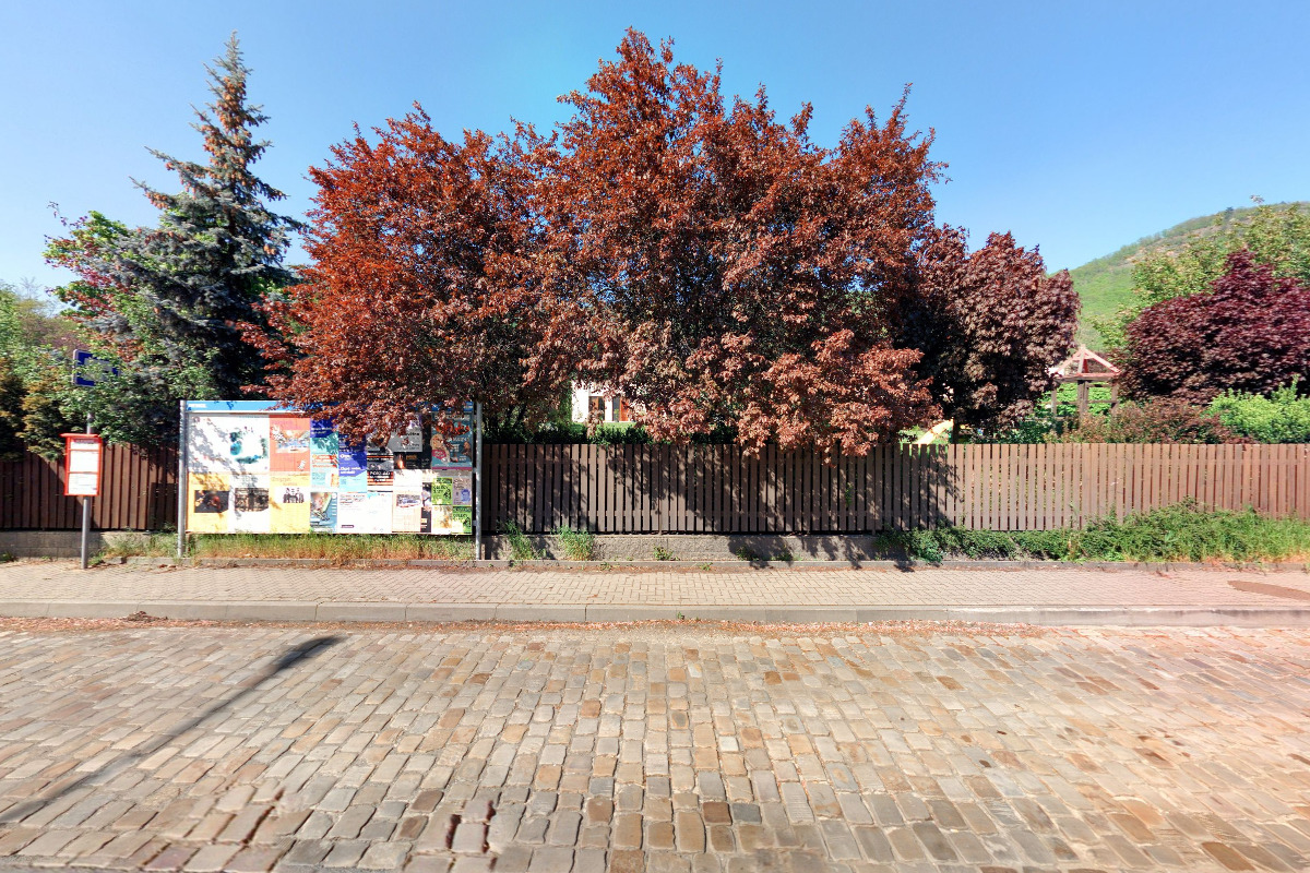 Restaurace v Zahradě foto 3