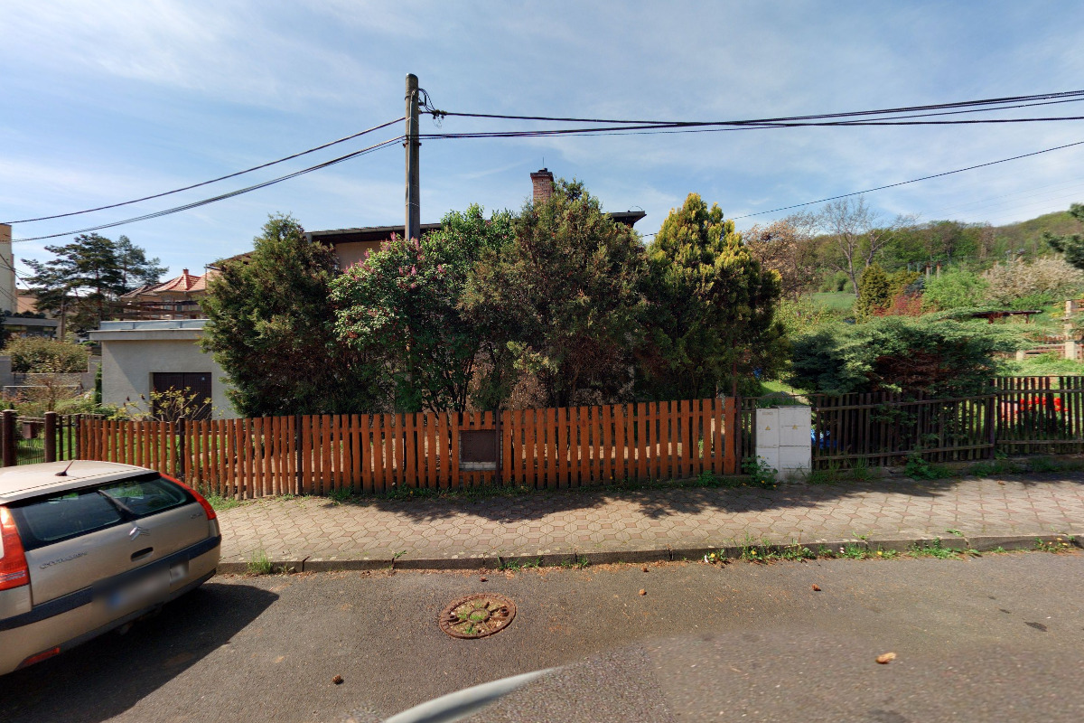 Psí salón Teta s nůžkama foto 6