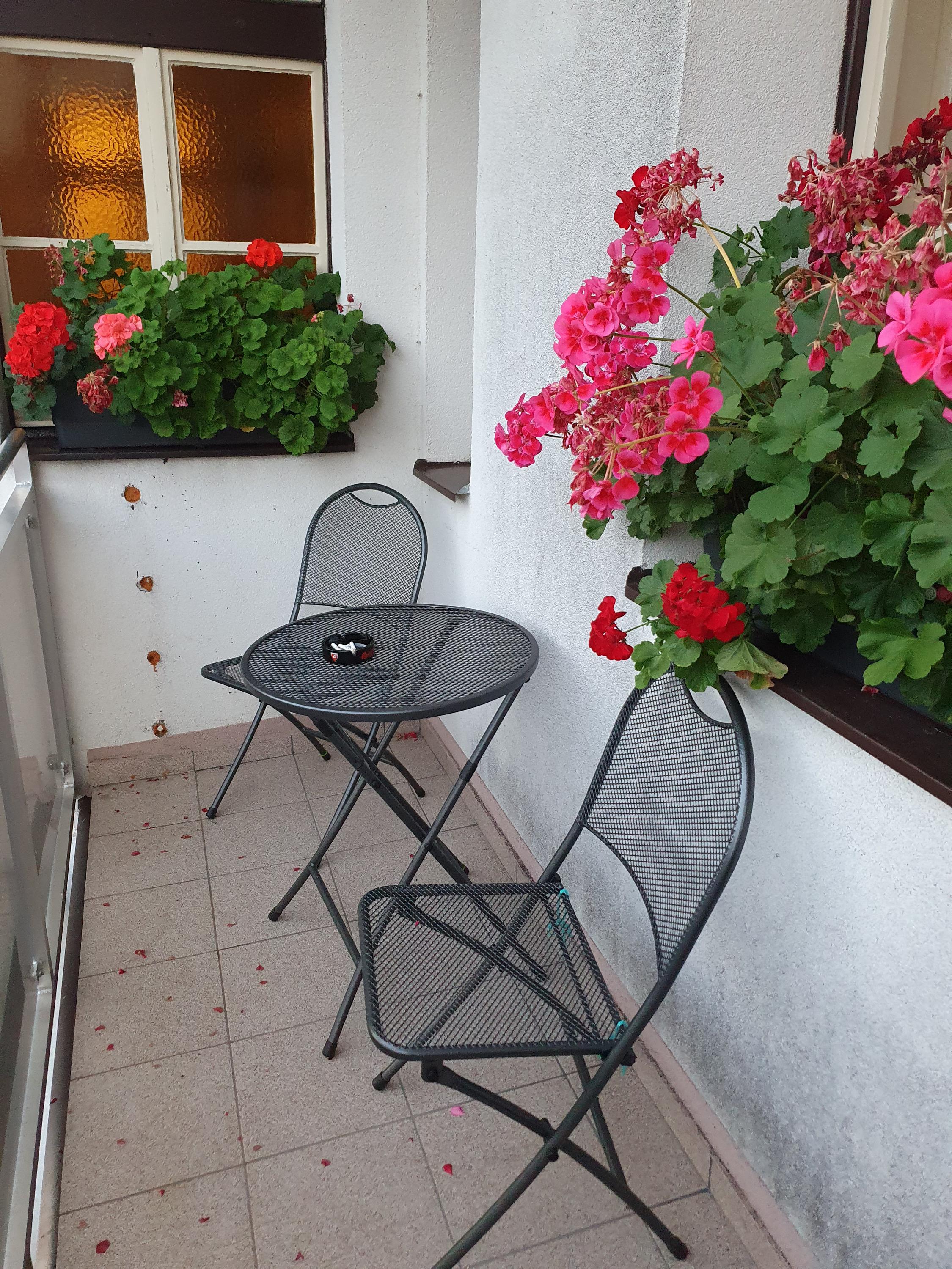 Apartmán BRAŠOV foto 3