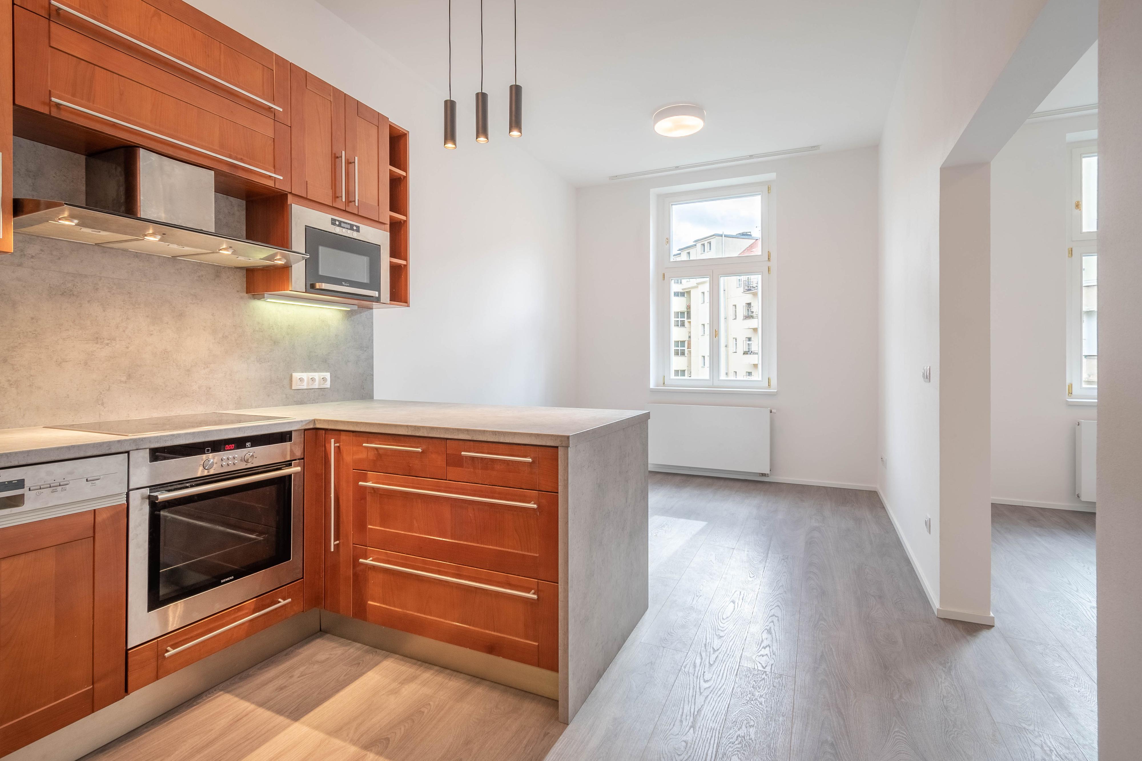 Malování natírání Vrána foto 3