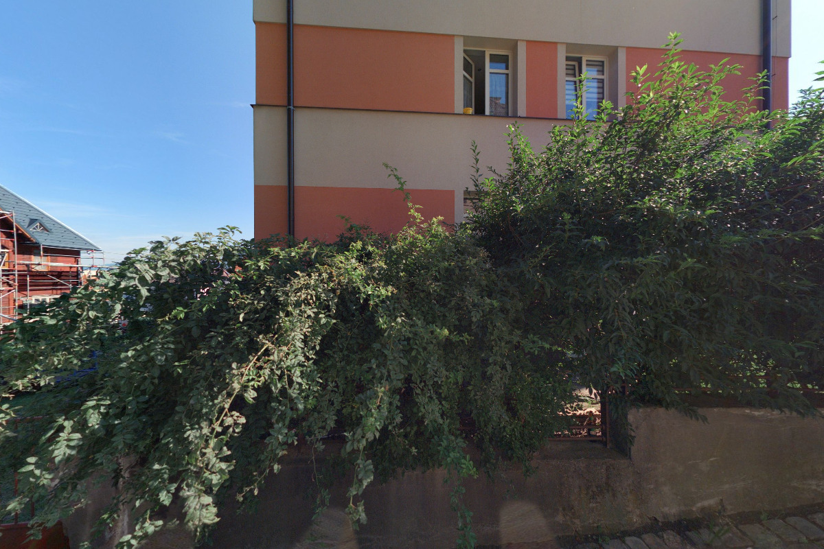 Pro-pneu.cz foto 2