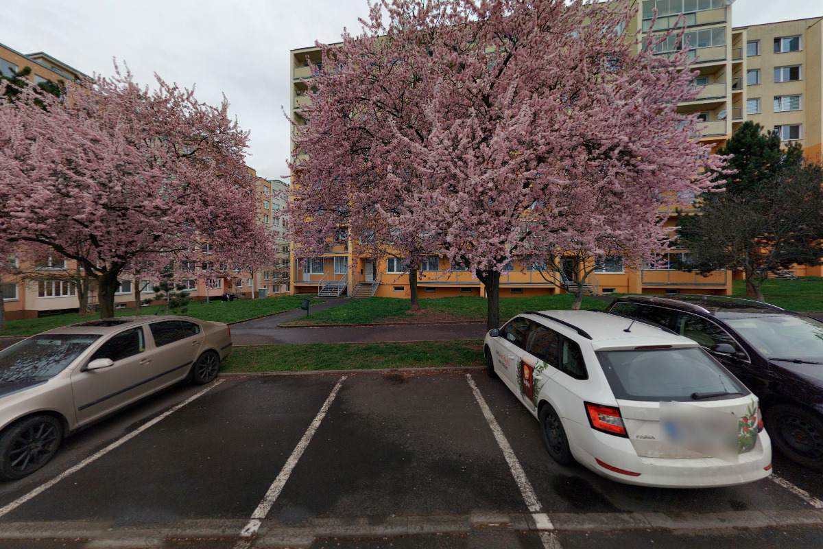 MUDr. Alena Radvanovská foto 2