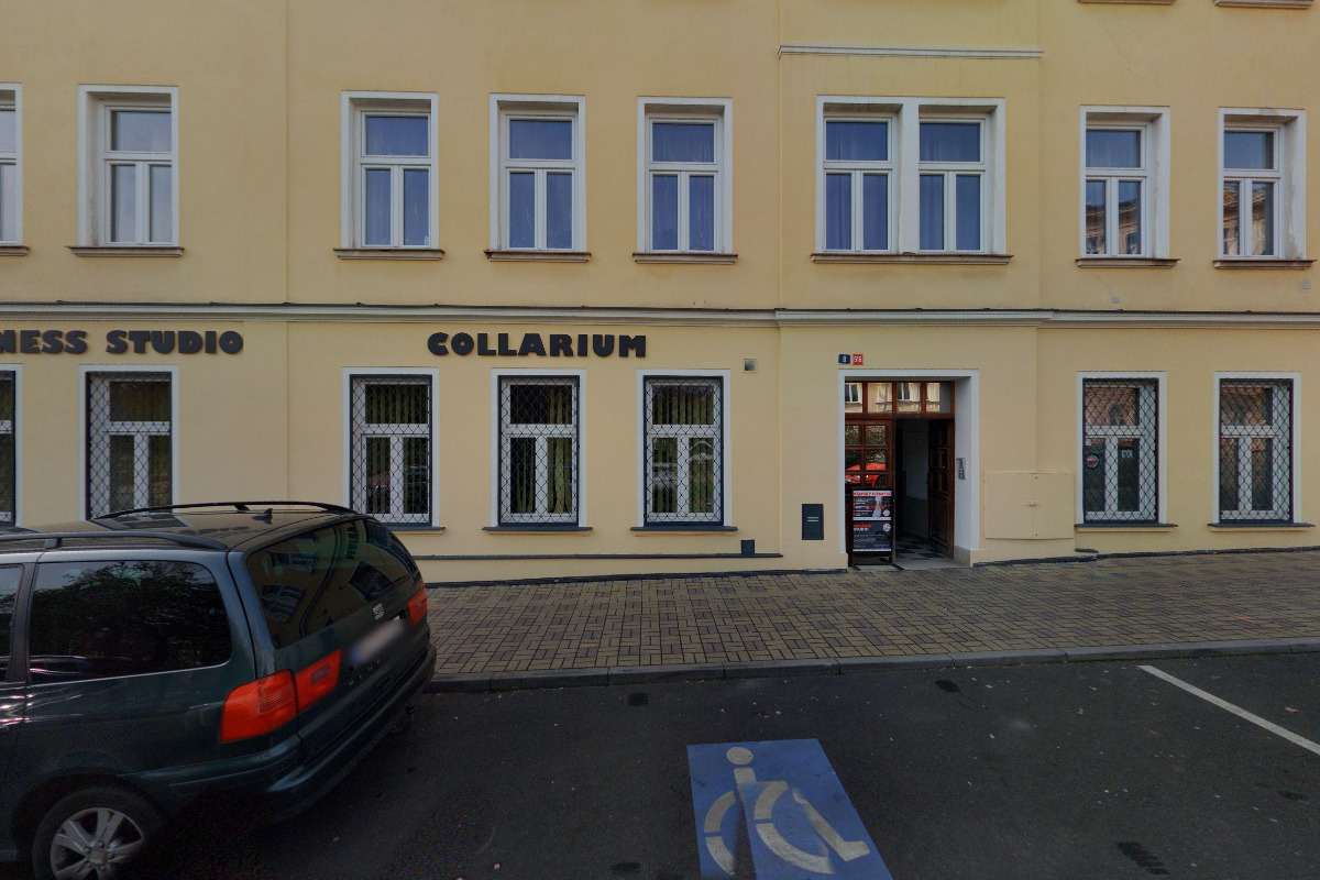 Dámský fitness Le papillon