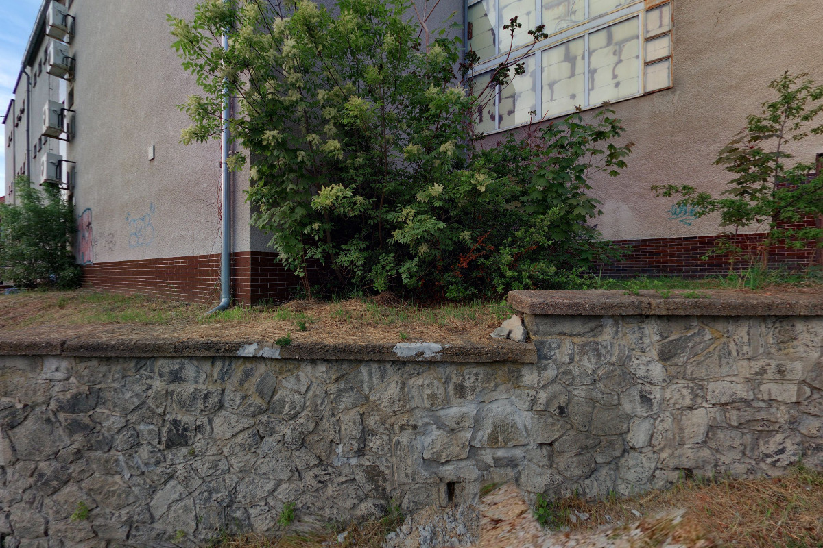 Český svaz parkouru z.s. foto 5